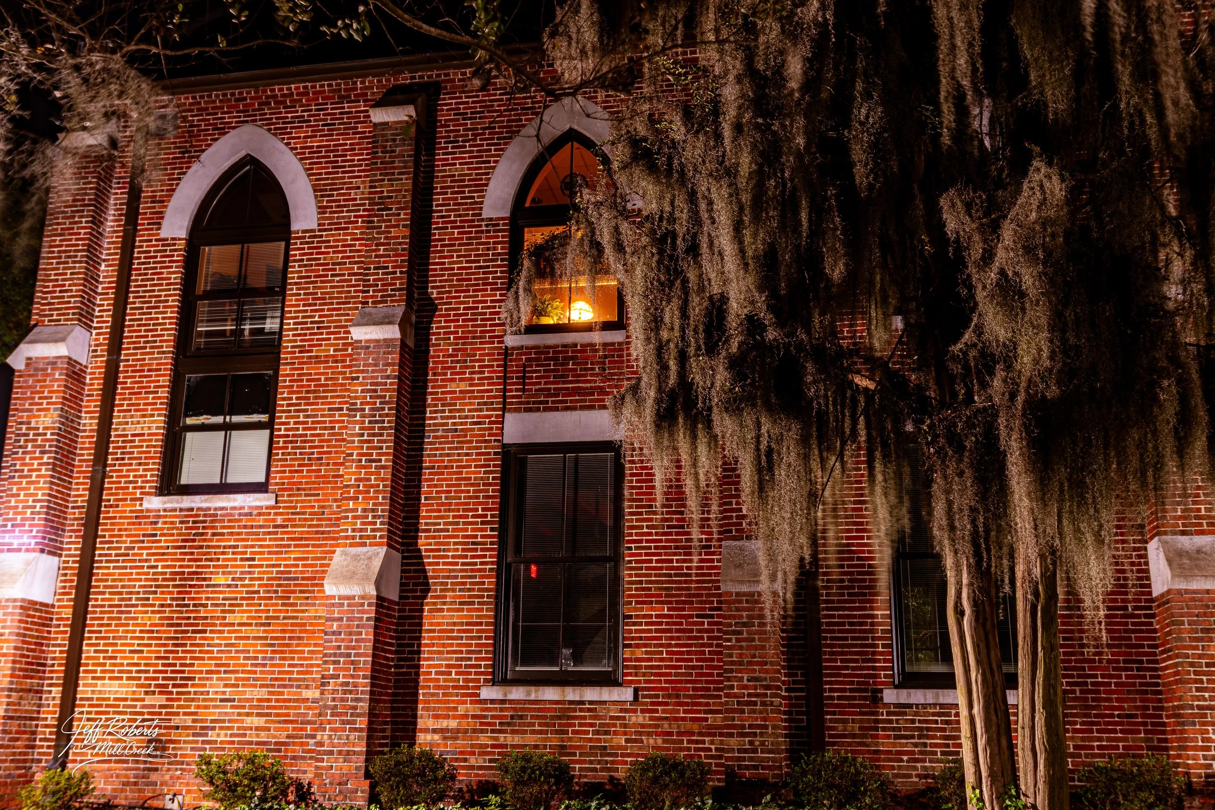 A brick building at night with lit windows and a large tree with Spanish moss hanging in front.