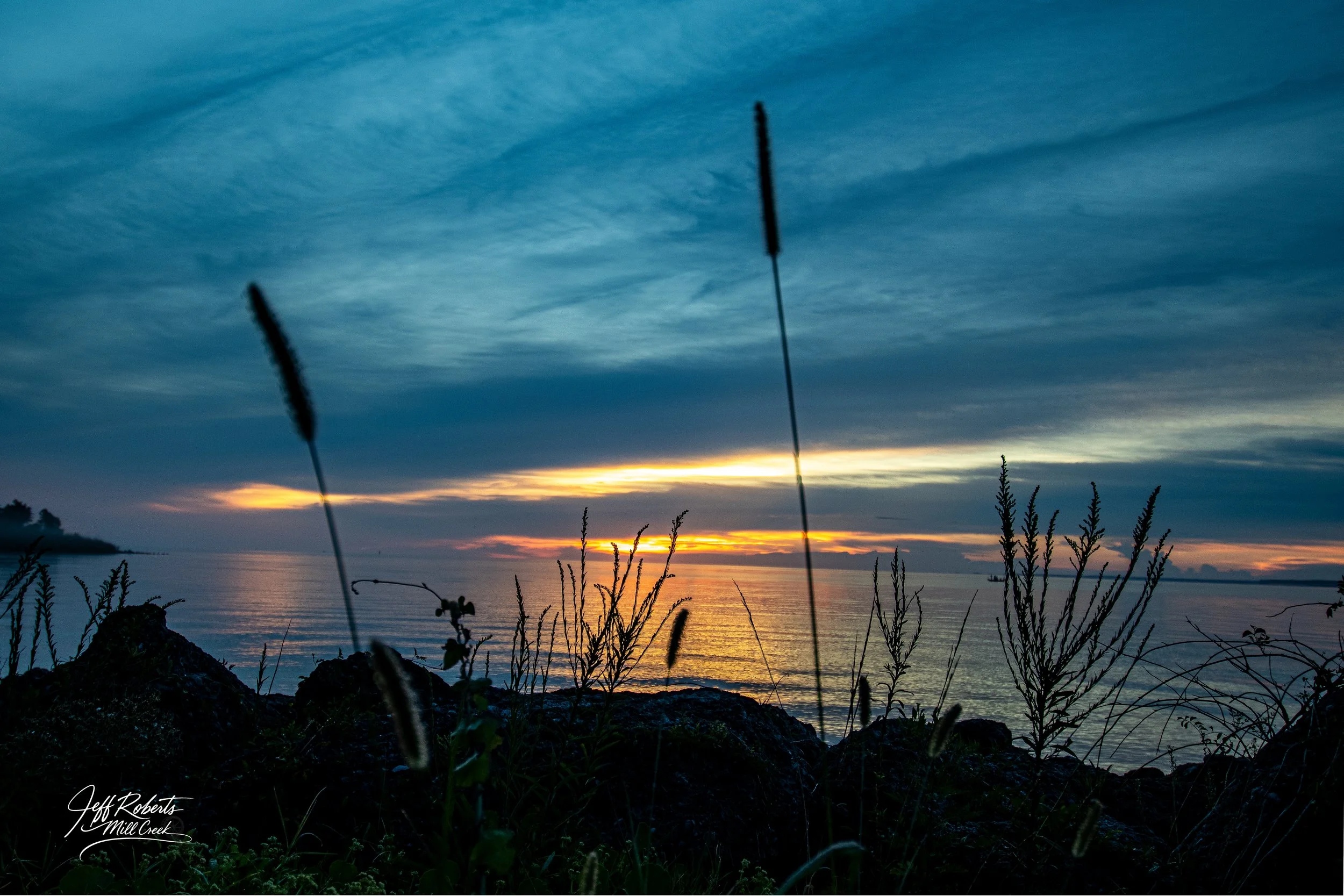 Sunset over the ocean with silhouettes of grass and rocks in foreground.