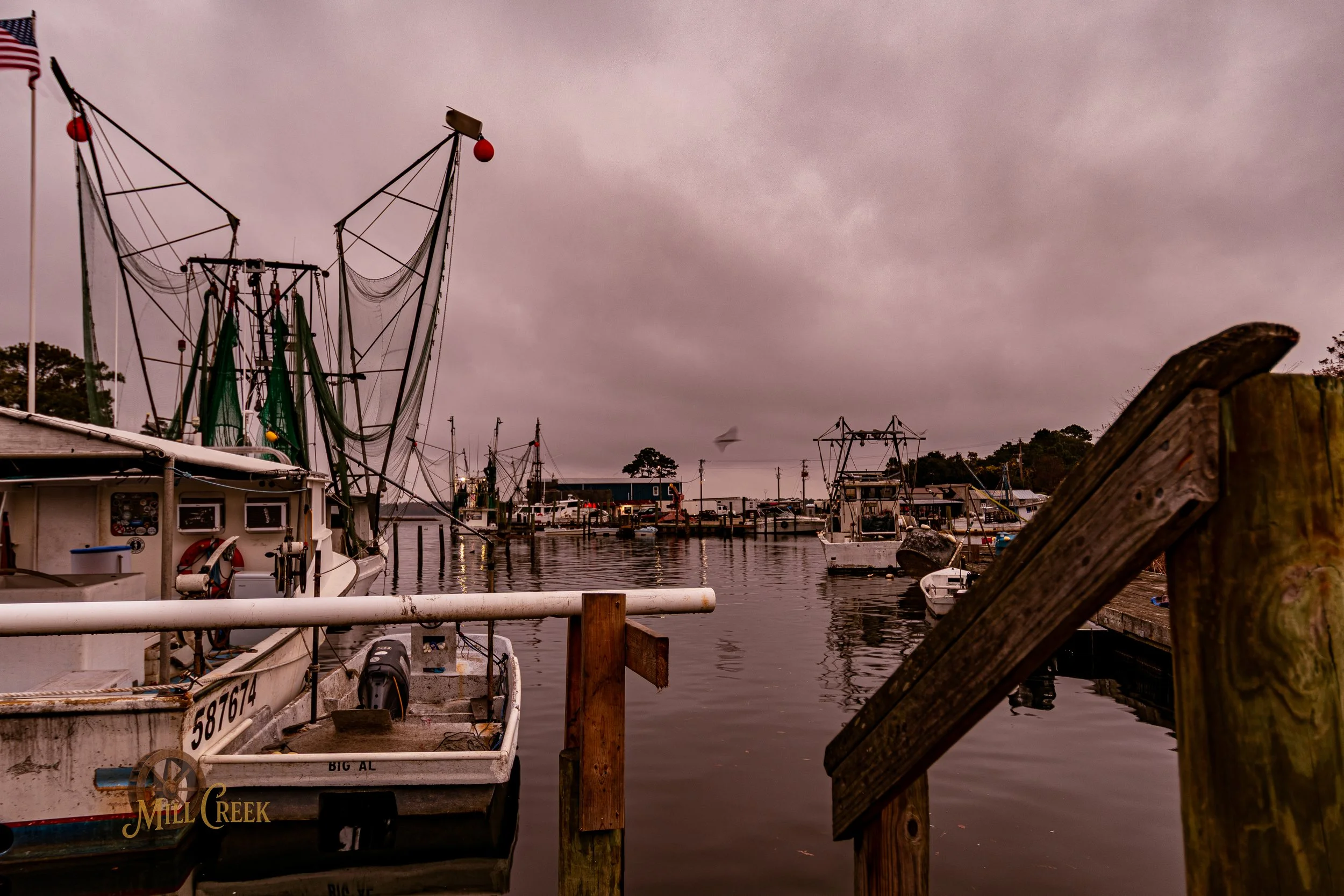 MCP-2026-Sneads Ferry-Invasion-26.jpg