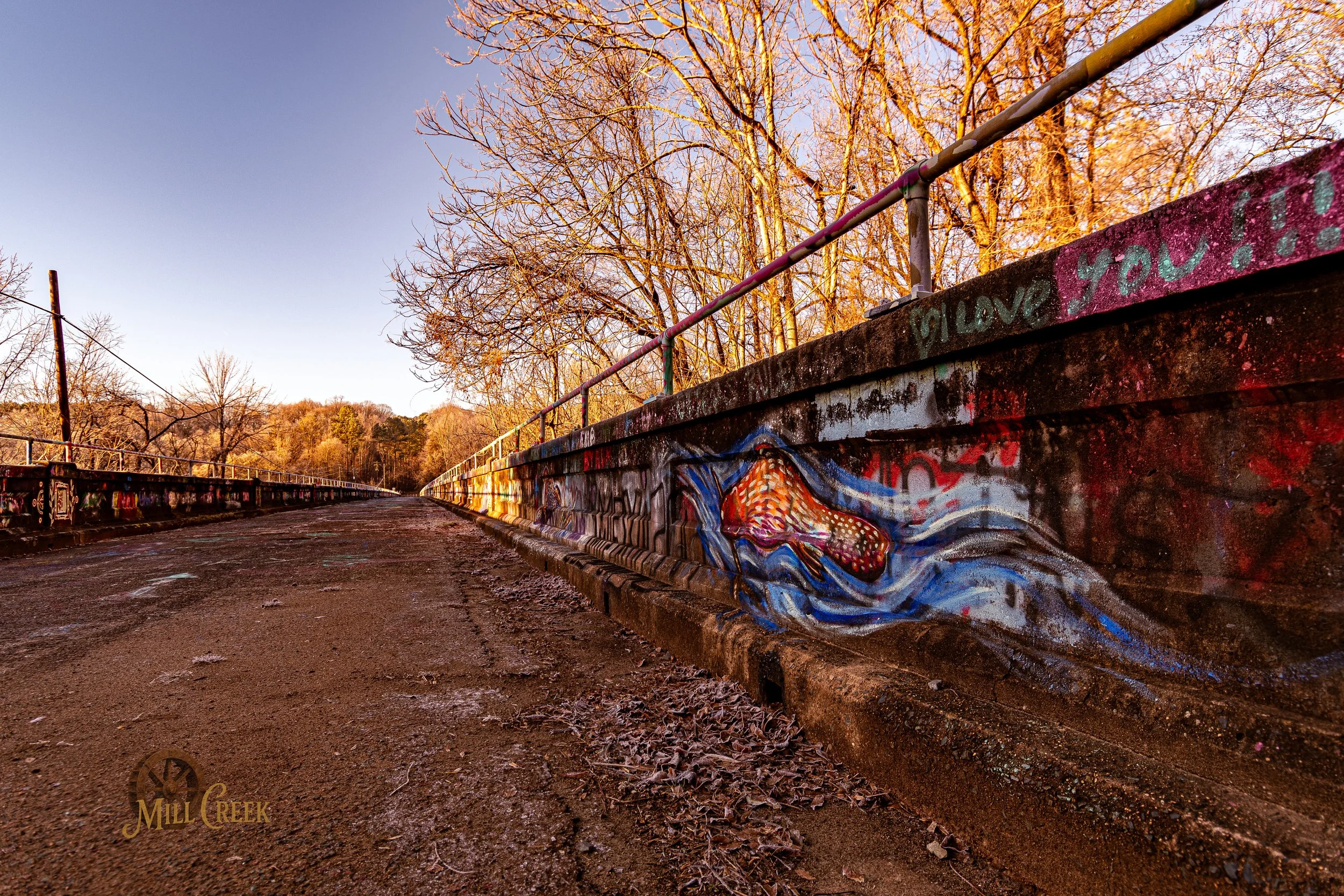 There are so many incredible artists throughout the world. This bridge over the Haw River shows the artistry of the people of the area. Amazing work. 