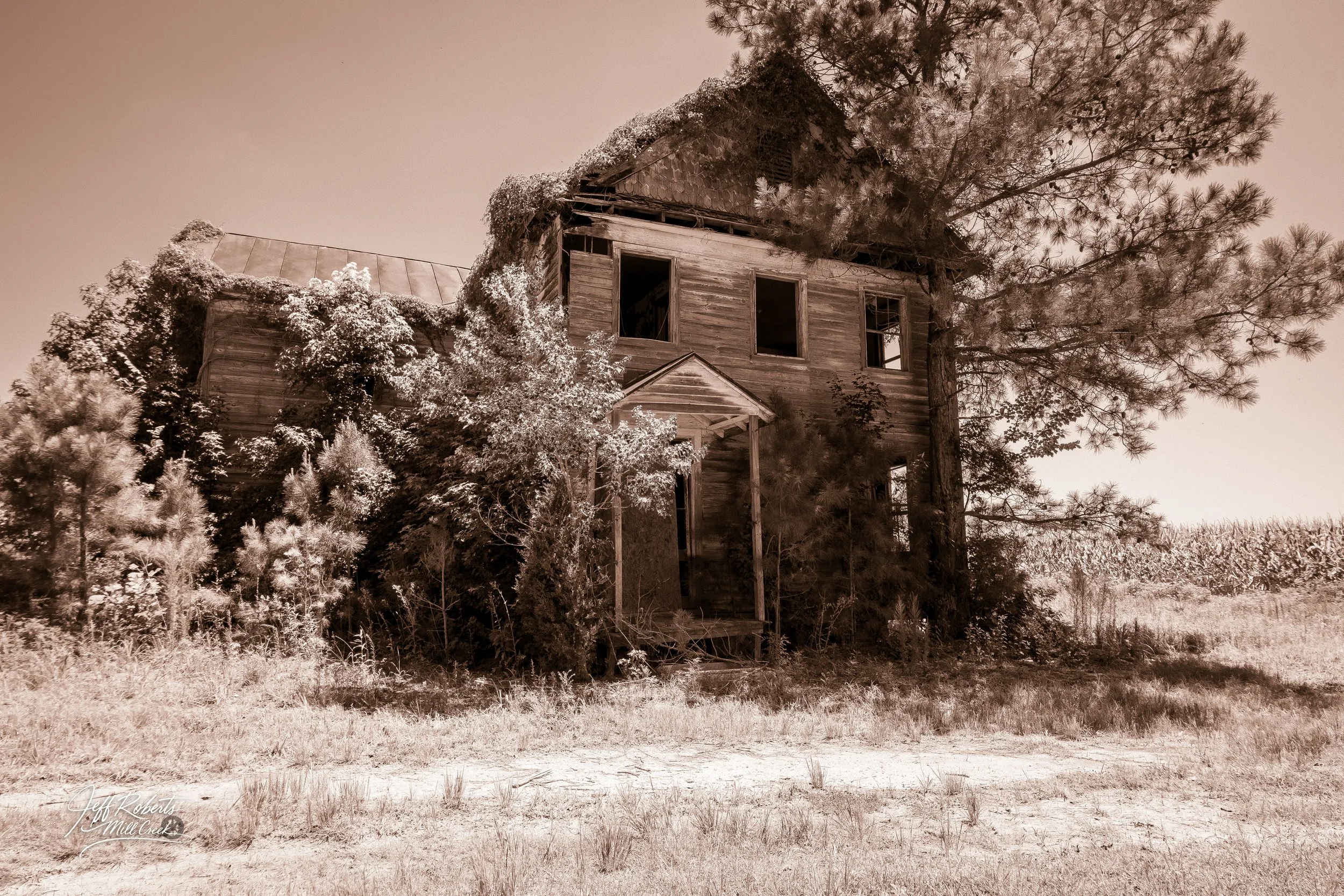 Old abandoned wooden house with broken windows surrounded by overgrown trees and grass, set in a rural landscape.