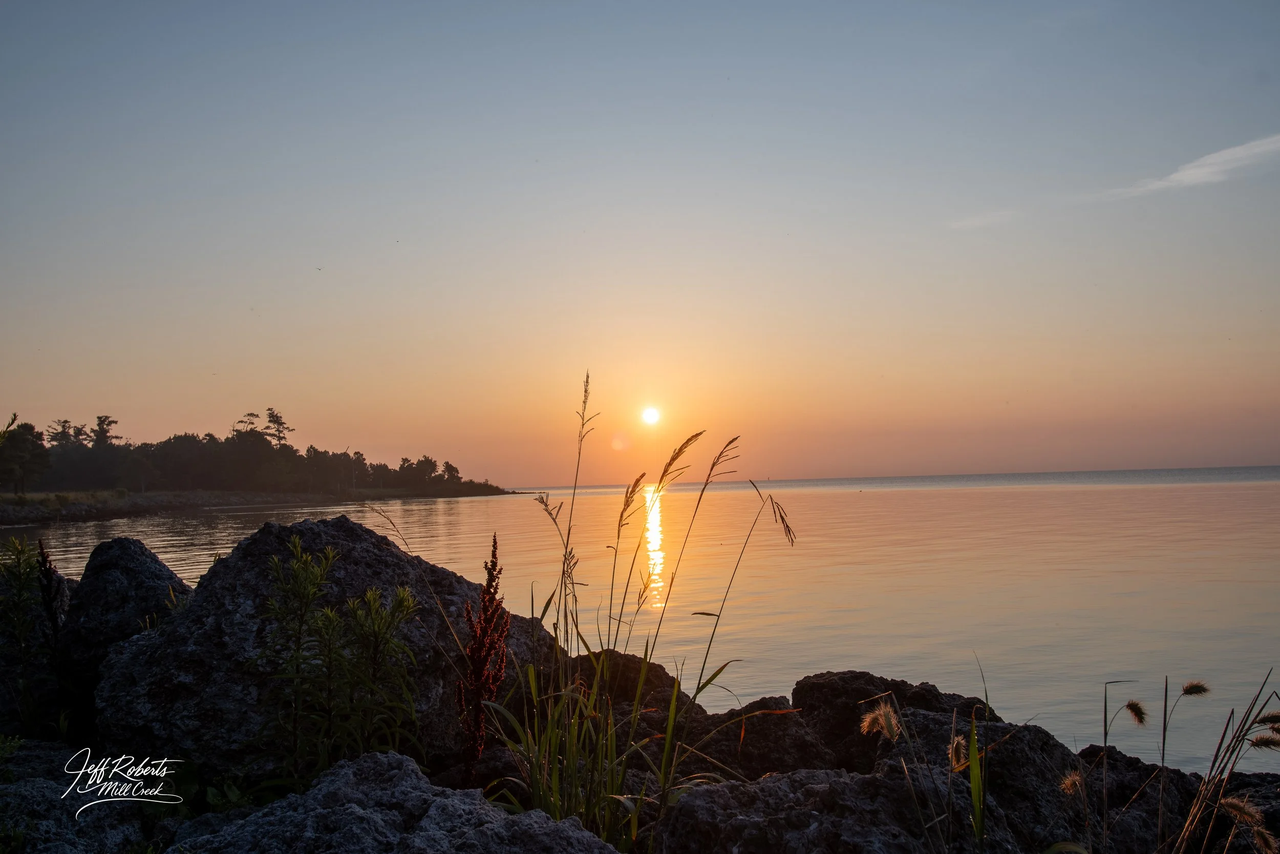 Scene of a sunset over a calm body of water with rocks and plants in the foreground and a tree-lined shoreline in the background.