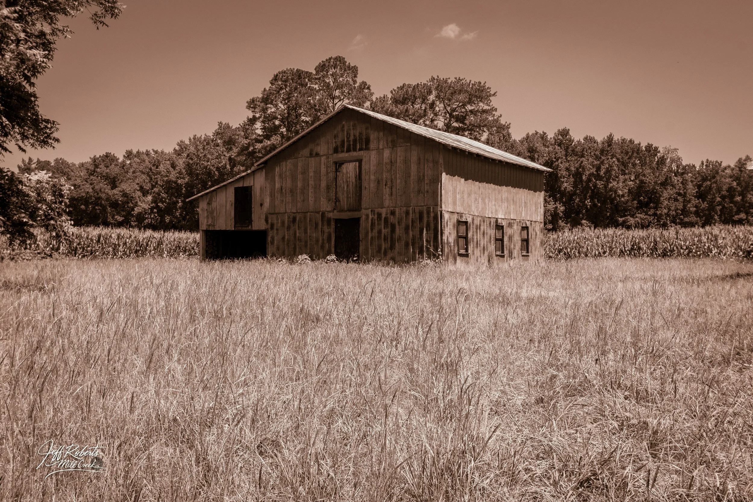 An old, weathered barn in a grassy field with trees in the background, sepia-toned photograph.