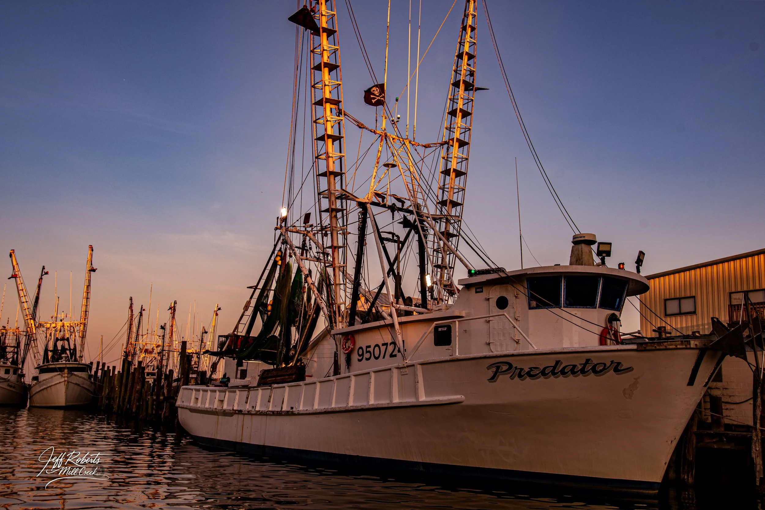 A large fishing boat named Predator docked at a marina during sunset with other boats and a building with a metal exterior in the background.