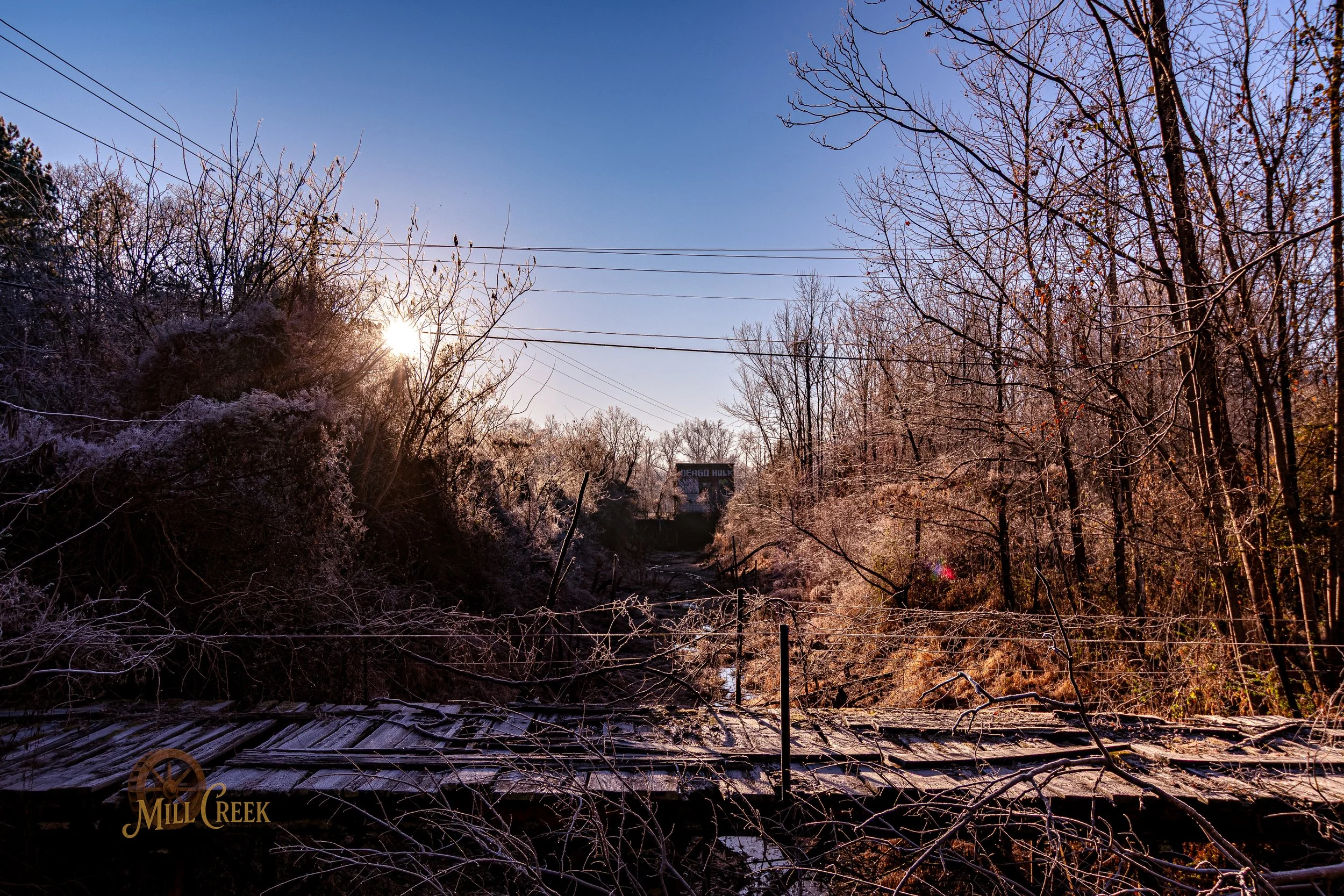 A winter landscape with a clear blue sky, bare trees, and a damaged wooden bridge over a creek. The sun is shining through the trees, and there is a Millennium sign visible in the distance.