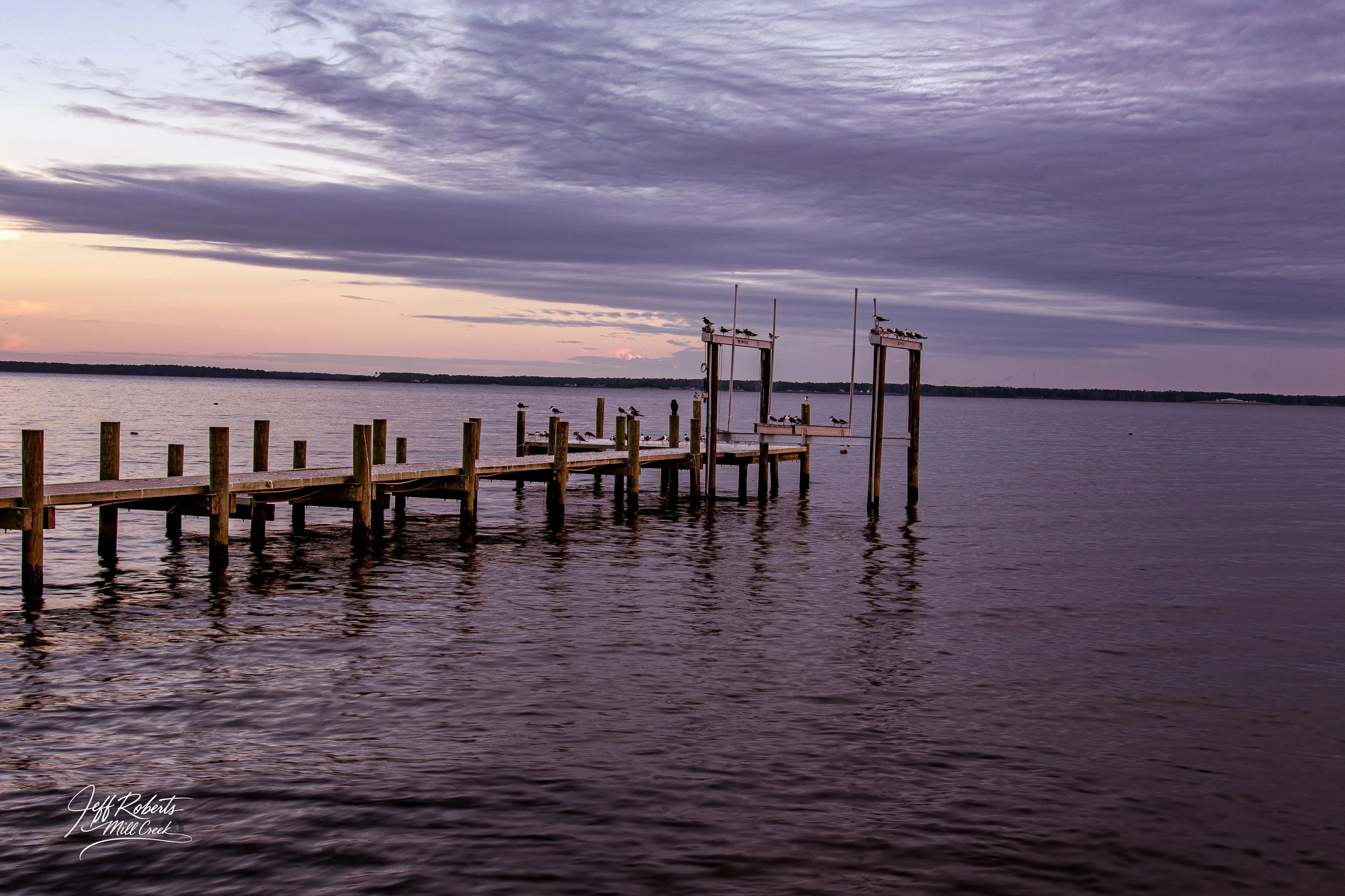 A wooden dock extending into a calm body of water with seagulls perched on the posts and the top of the structure. The sky is cloudy with shades of purple and pink near the horizon, suggesting either sunrise or sunset.