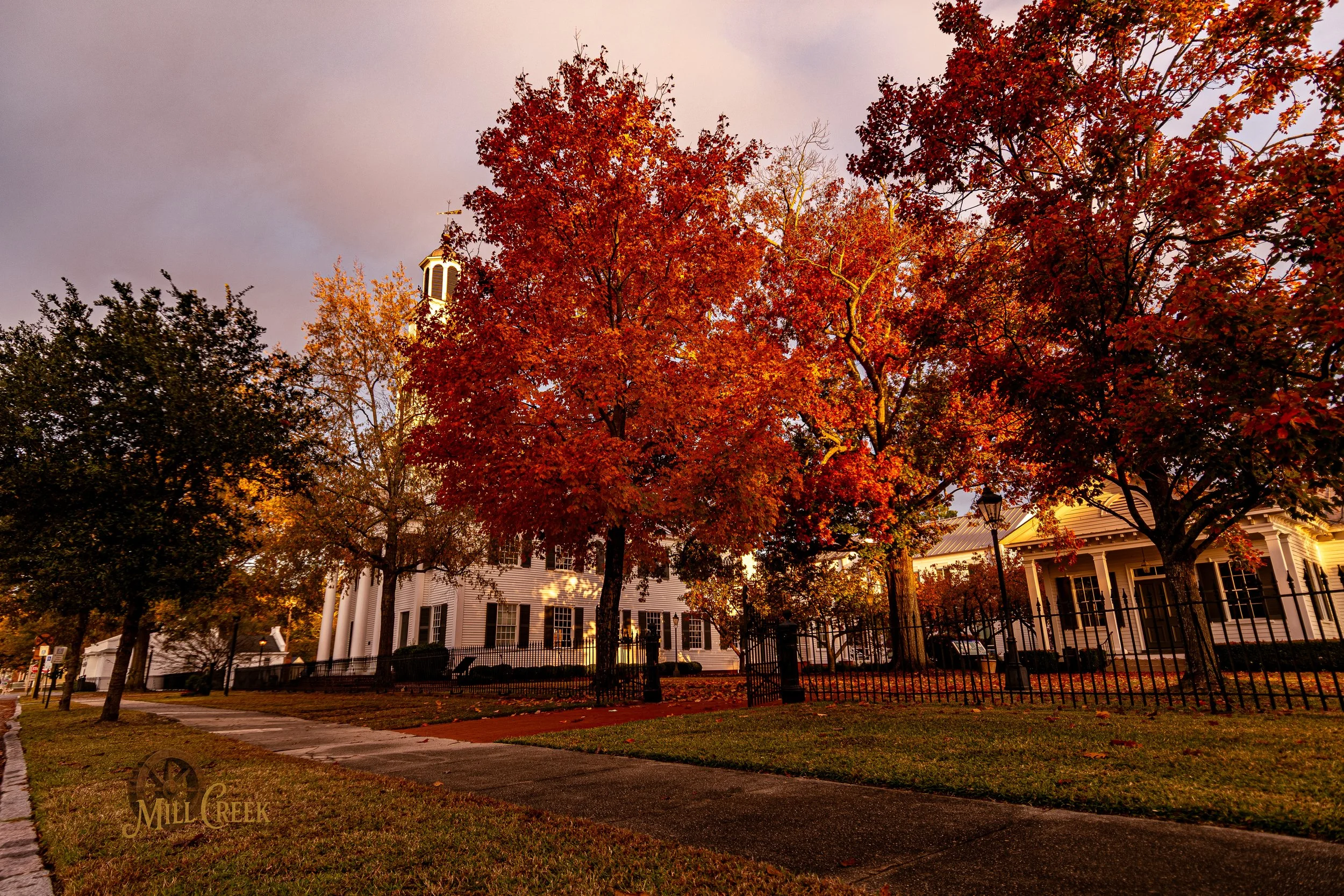 Street view with large trees featuring red and orange autumn leaves, white historic buildings with black shutters, a black fence, sidewalk, and a streetlamp in the foreground, during late afternoon or early evening.