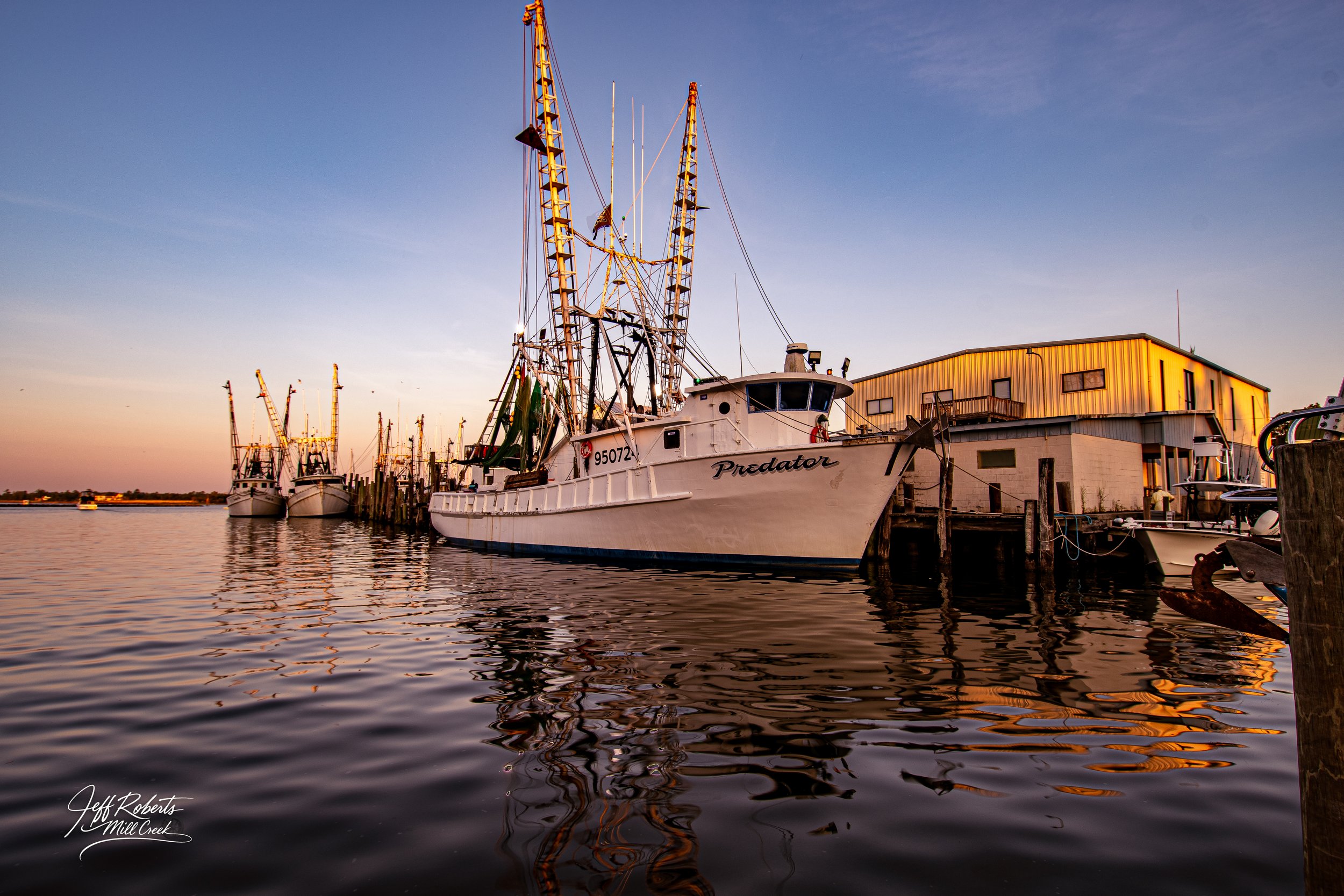 Boats docked at a pier during sunset with a large, white fishing boat named Predator in the foreground, calm water reflecting the boats and sky, and a building with yellow lighting on the right.