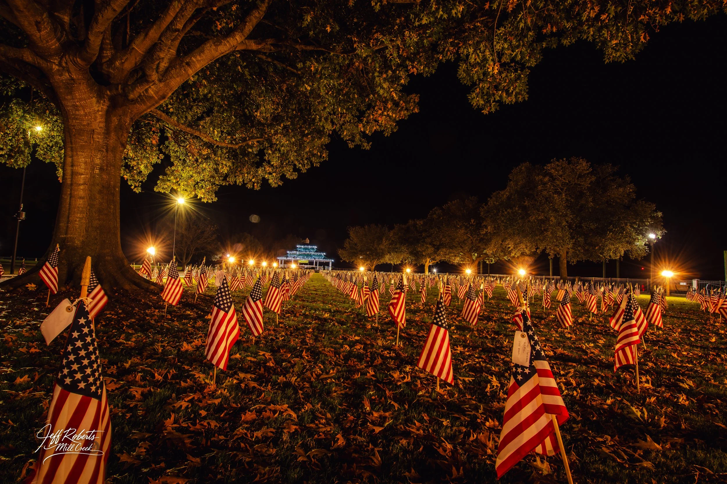 Nighttime scene at the National World War II Memorial in Washington, D.C., featuring numerous small American flags on sticks on the ground near a large tree, with a pavilion illuminated in the distance.