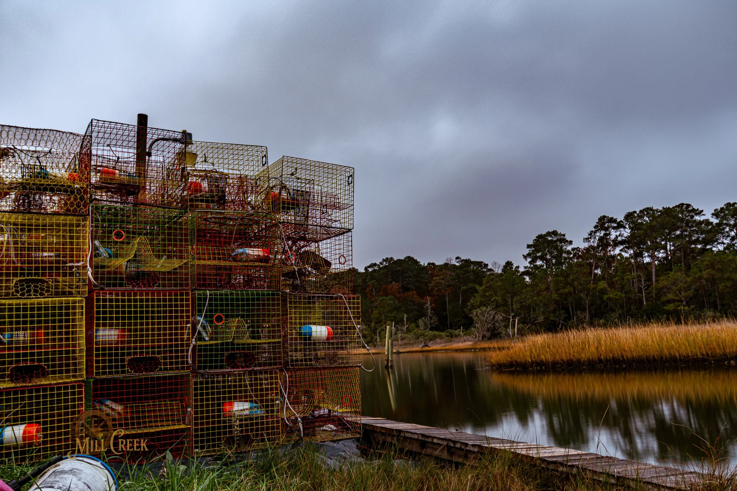 MCP-2026-Sneads Ferry-Invasion-18.jpg