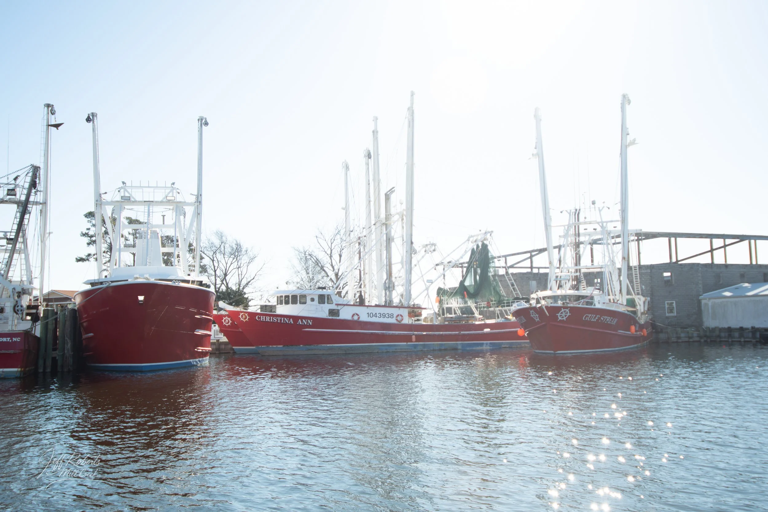 Several sailboats docked at a marina with the sun shining over the water.