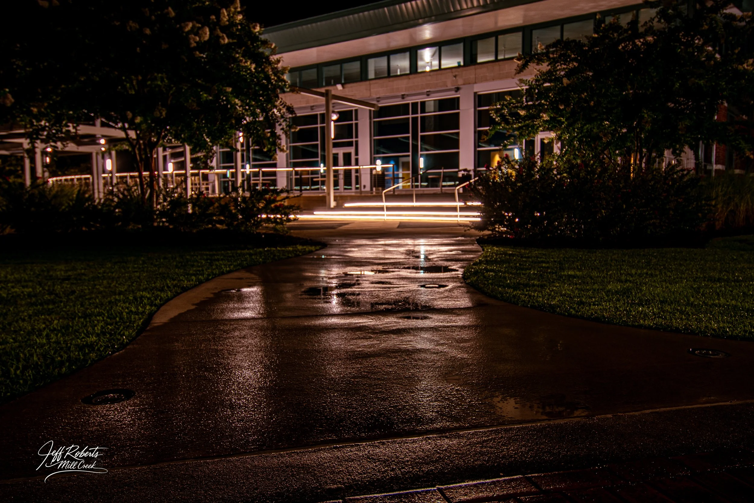 Wet sidewalk leading to a modern building at night, with lit windows and trees on either side.