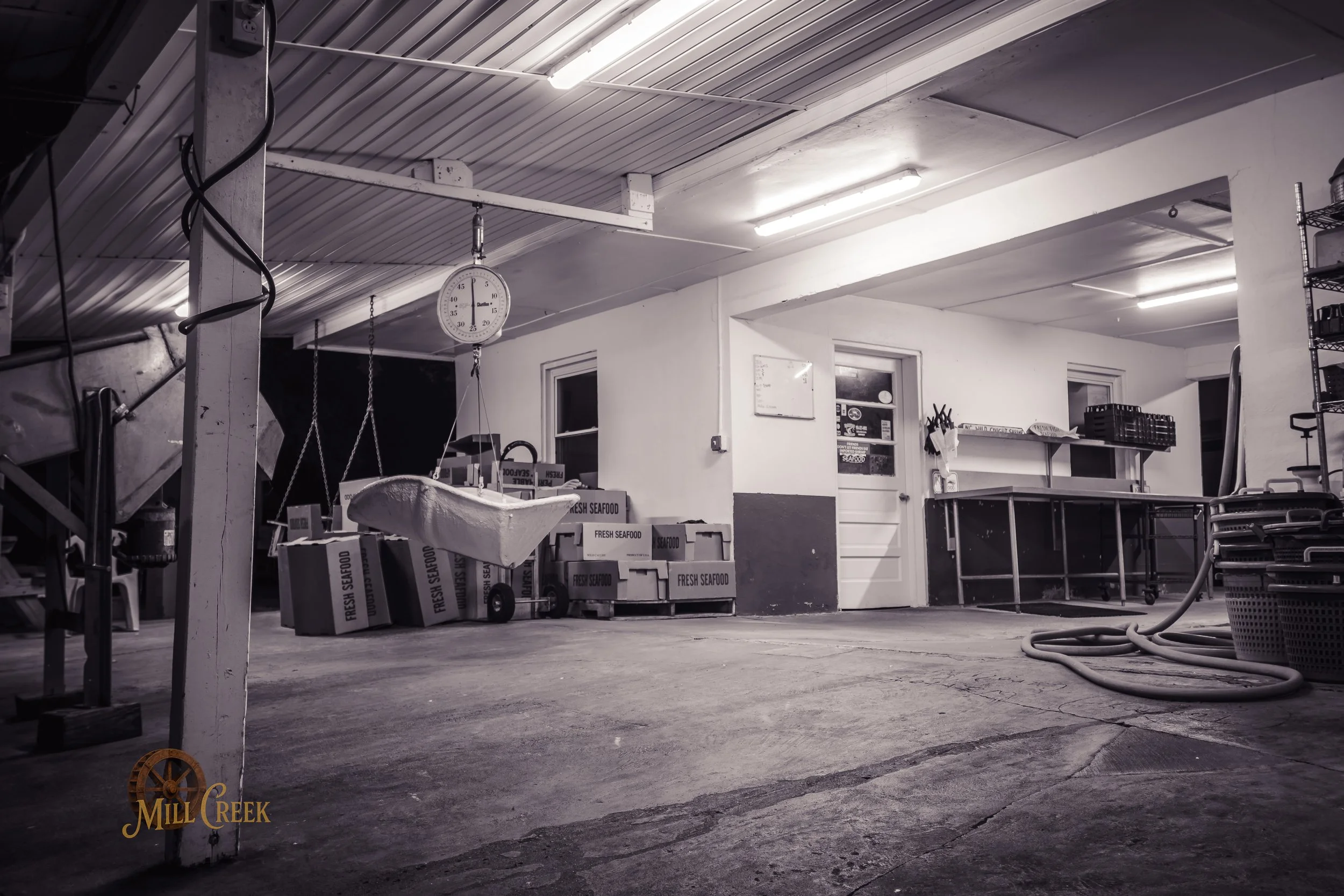 MCP-2026-Sneads Ferry-Invasion-12.jpg