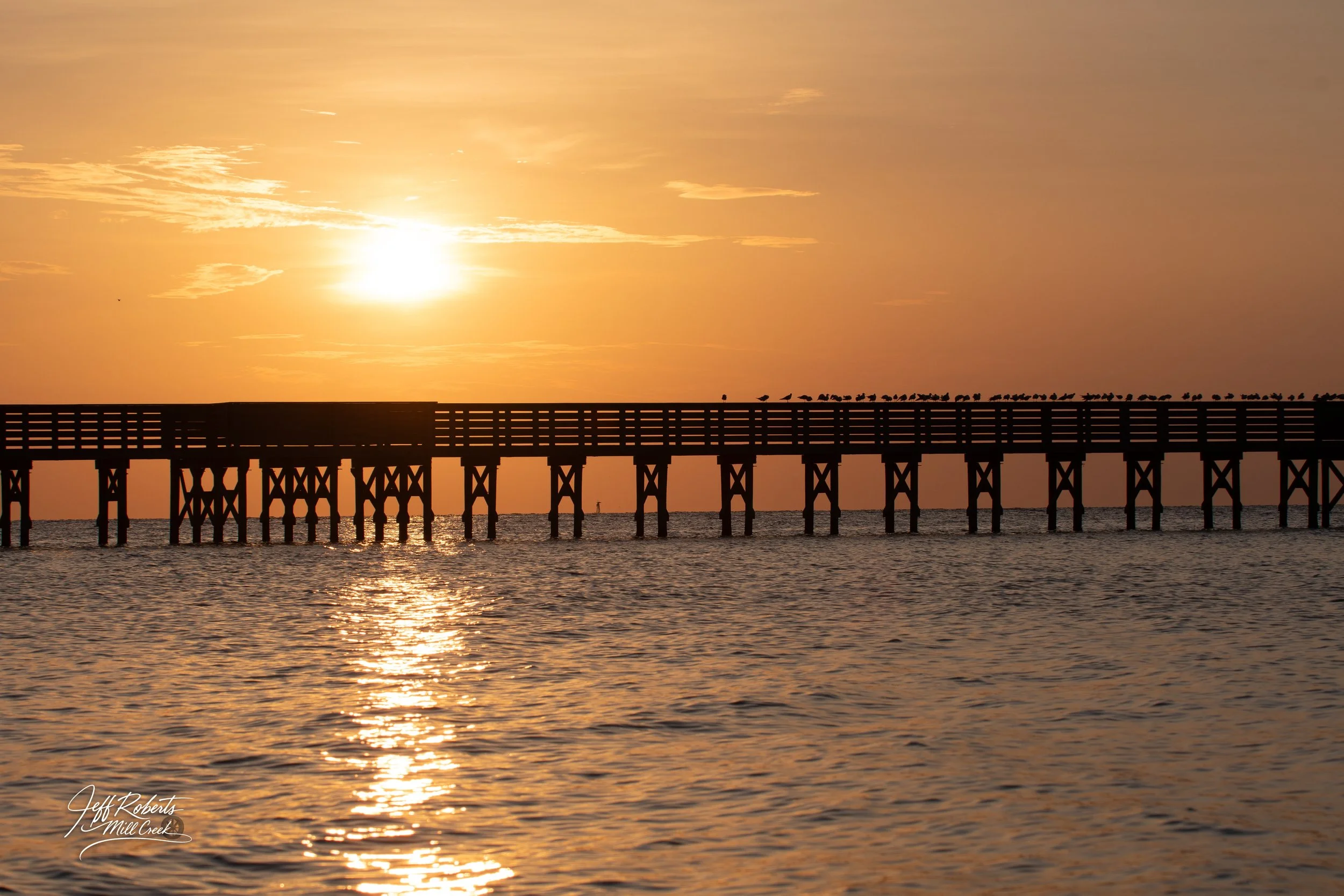 Sunset over a pier extending into the water, with birds perched on the railing, and the reflection of the sun shimmering on the water's surface.