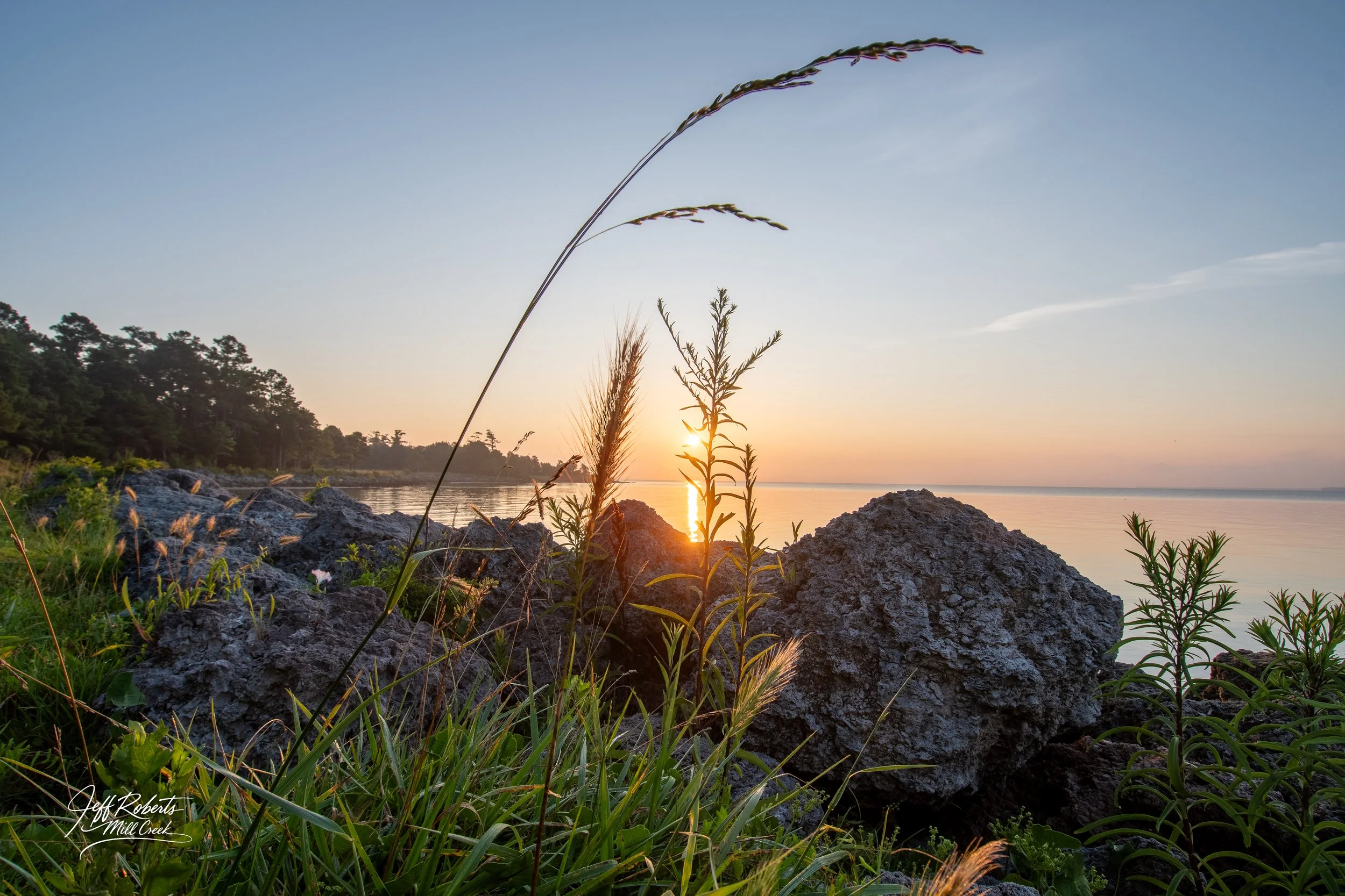 Sunset over a body of water with rocks and tall grass in the foreground and trees along the shoreline in the background.