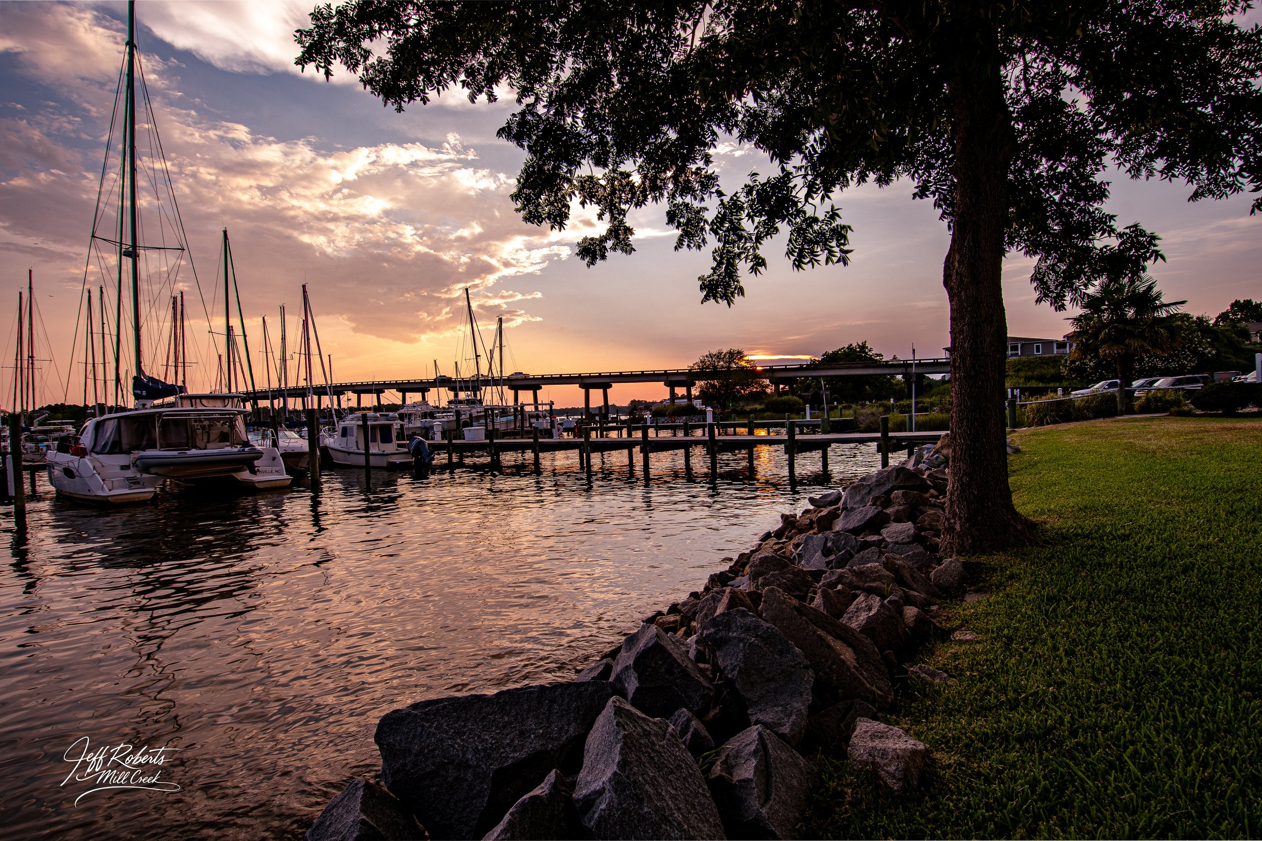 Marina with sailboats docked along the water at sunset, a tree with shadowed leaves in the foreground, and a bridge in the background, with a grassy area and rocks on the right