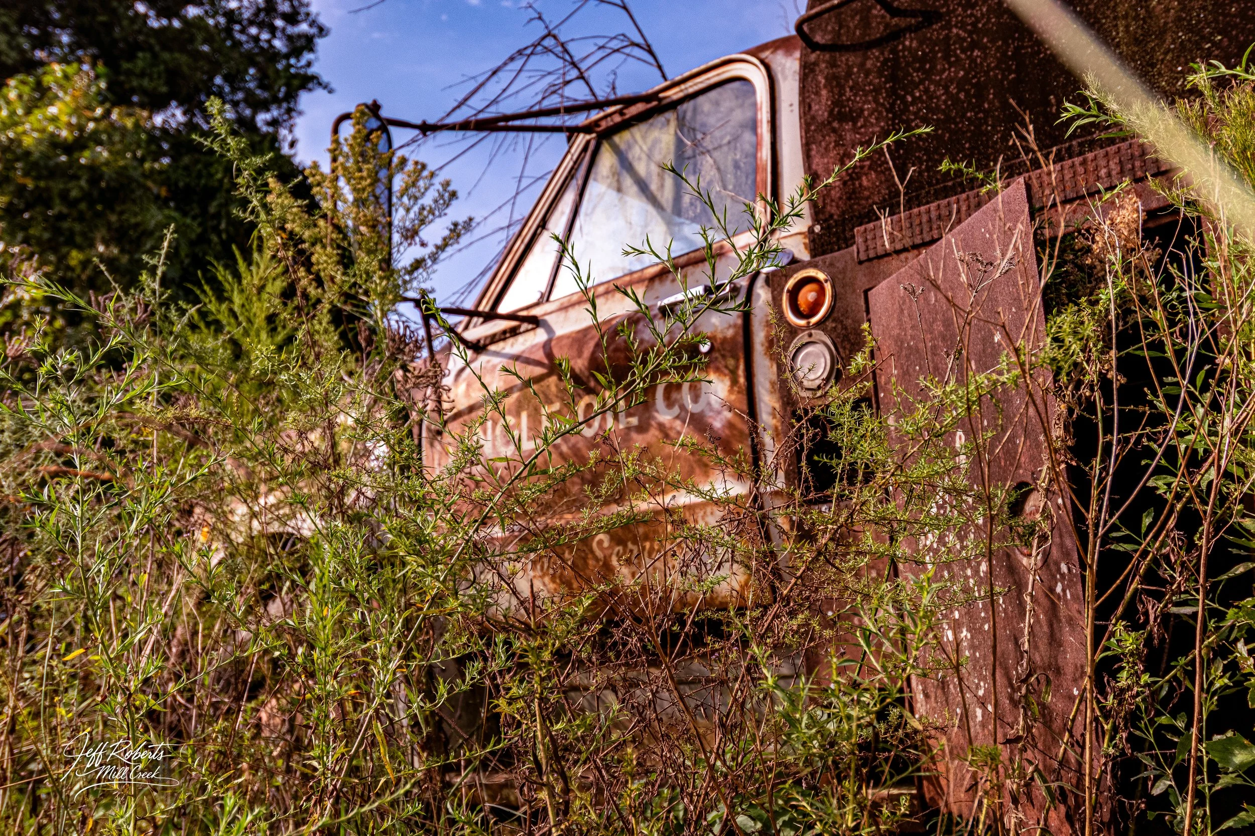 Old rusty truck partially covered with weeds and plants, with a blue sky and tree in the background.