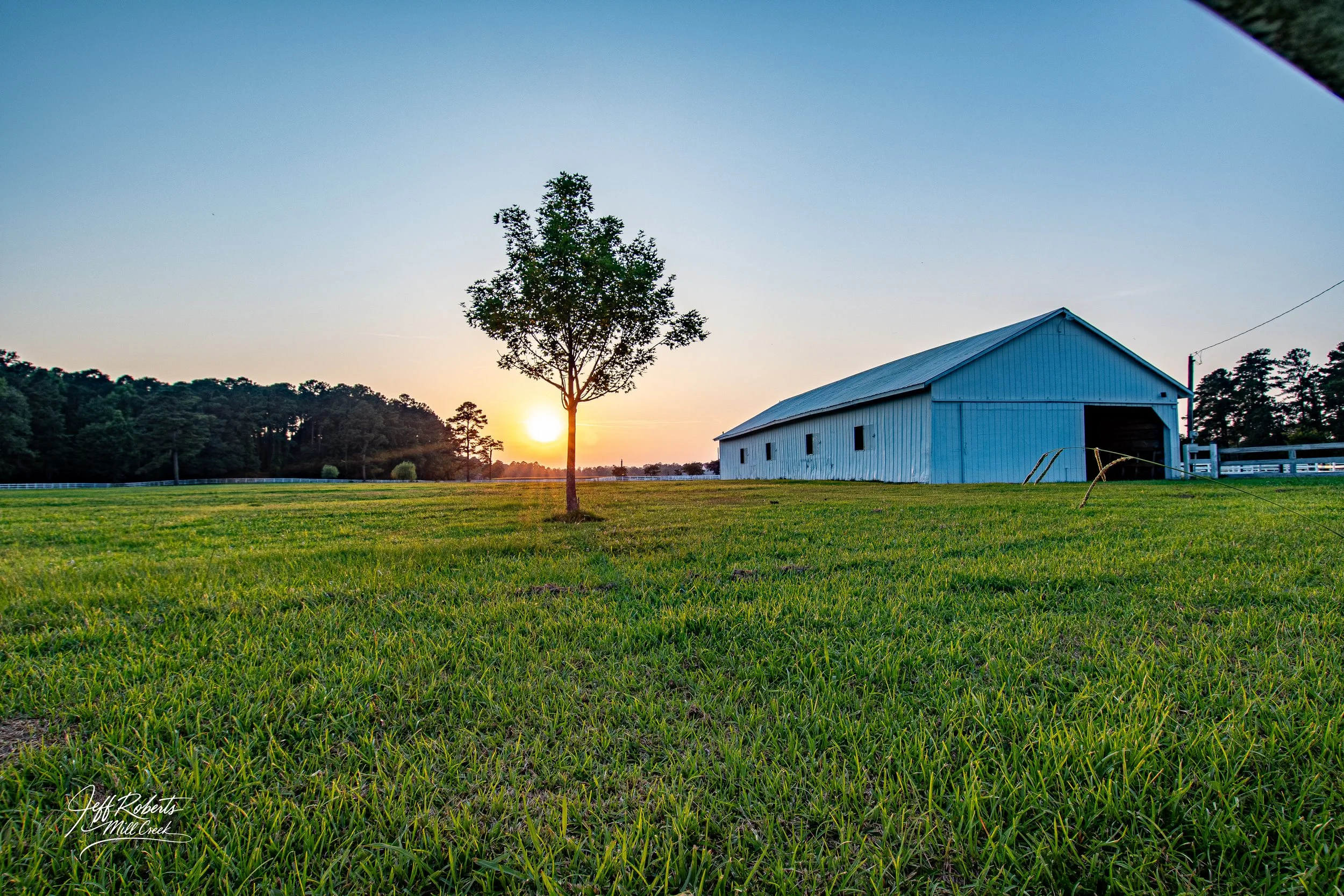 Sunset over a green field with a single tree and a white barn.