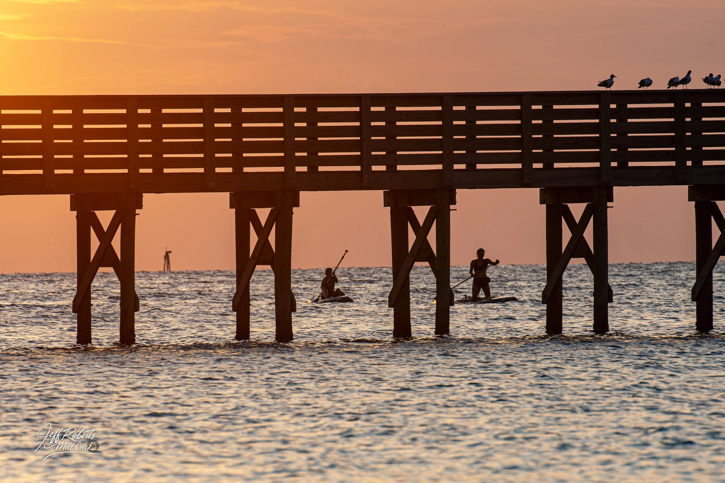 People paddleboarding under a wooden pier at sunset with seagulls on top of the pier and an oil rig in the distance.