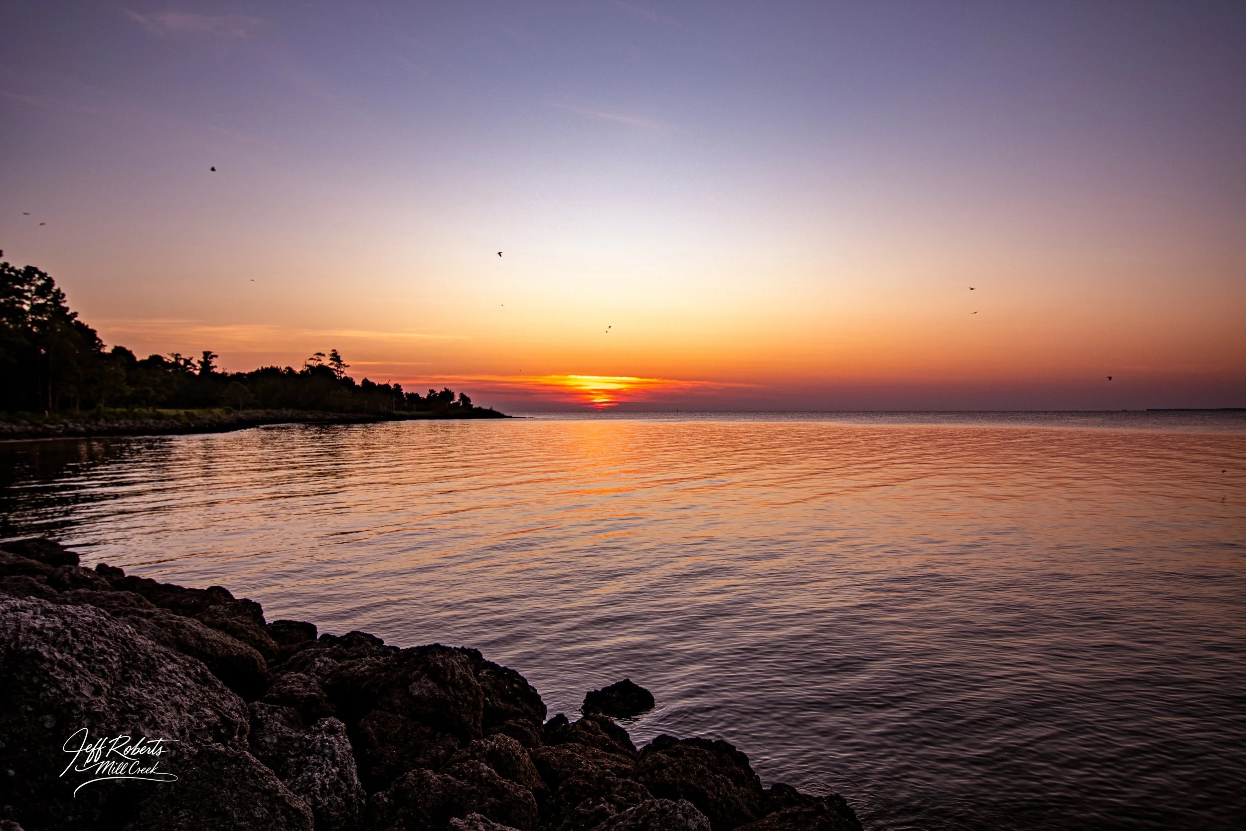 Sunset over a calm body of water with a rocky shoreline in the foreground and trees on the left side, with birds flying in the sky.