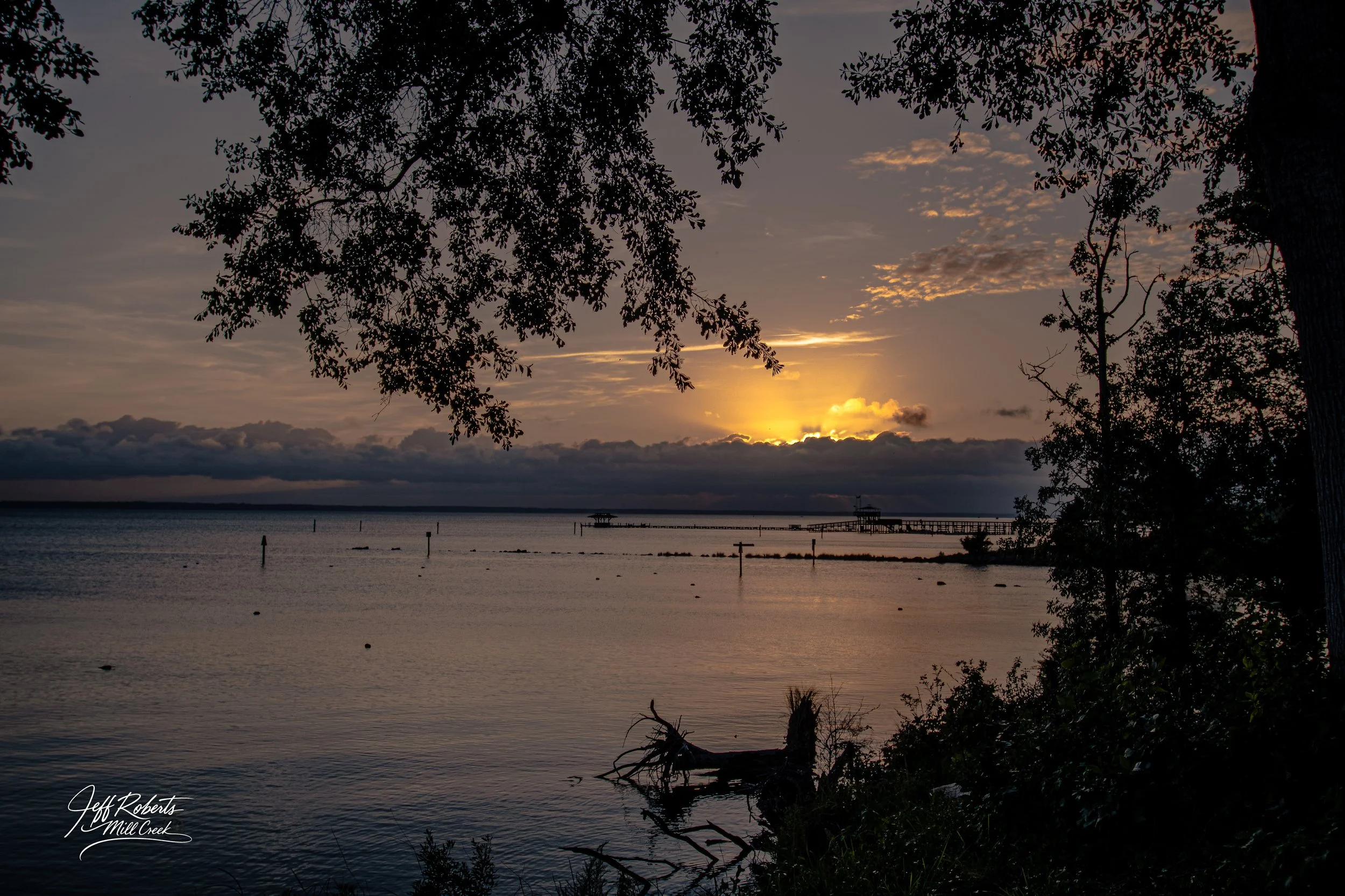 Sunset over a calm body of water with dark clouds on the horizon, silhouetted trees, and a driftwood piece near the shoreline.