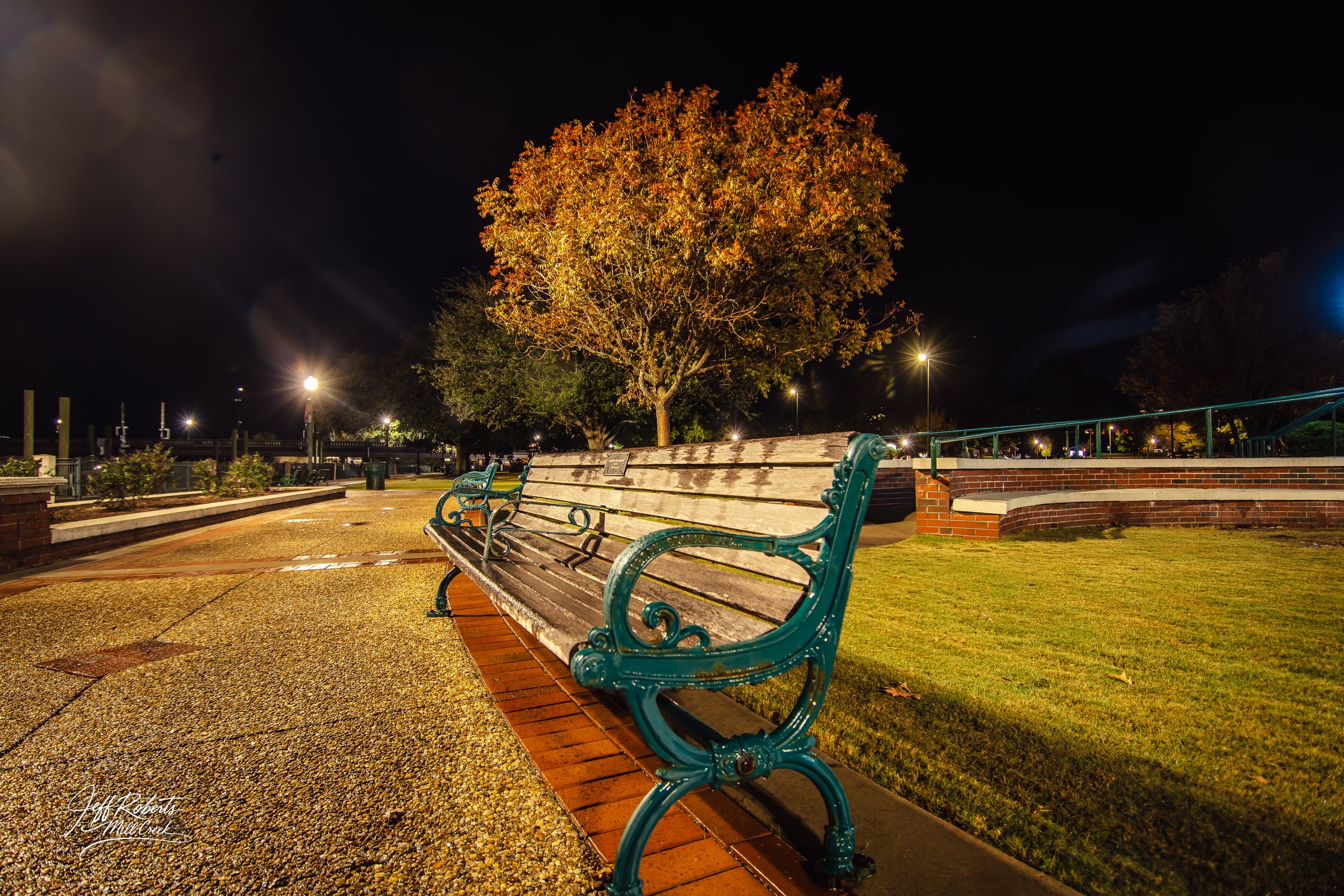 A park at night featuring empty wooden benches with teal metal armrests and legs, a large tree with orange and yellow leaves, well-lit pathways, and streetlights illuminating the area.