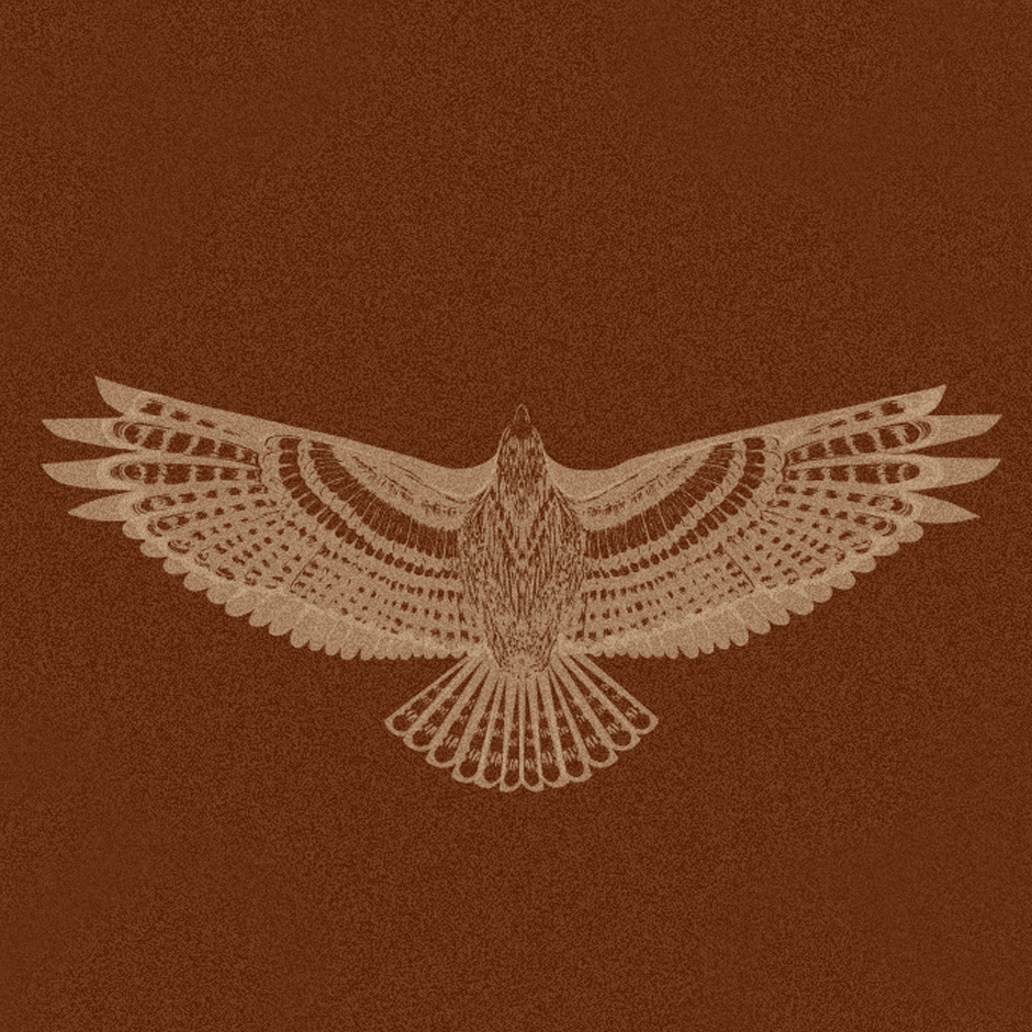 HillCountry_Texture_940.png