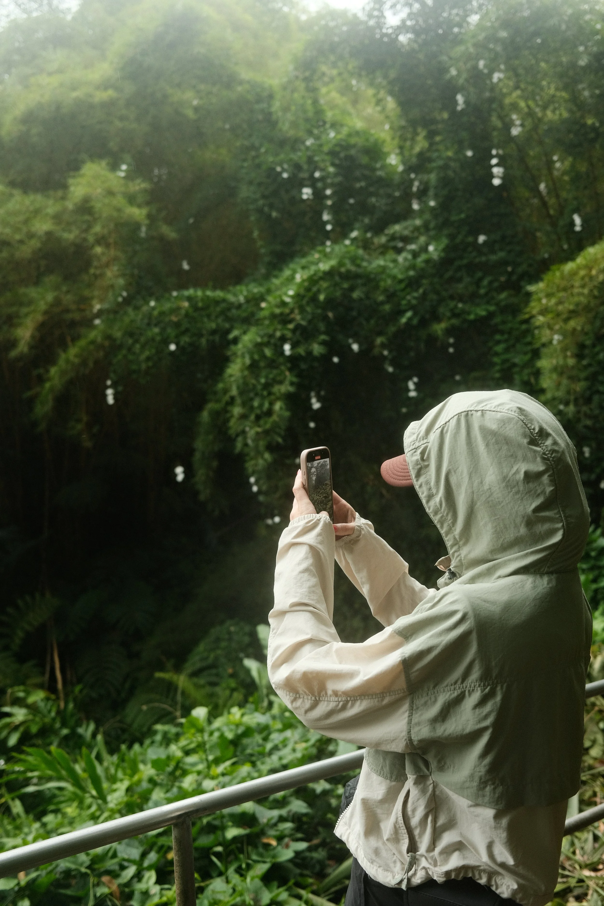 Woman in Columbia Spire Valley Windbreaker taking photos in lush, green rainforest.