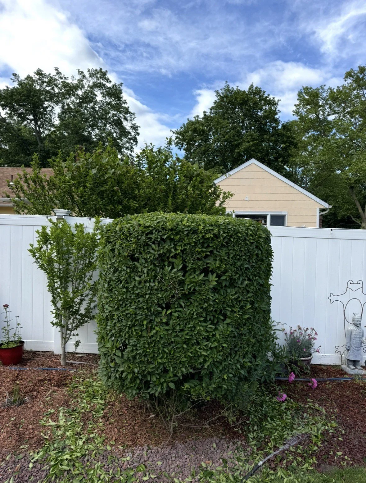 Oranssi project: passive house