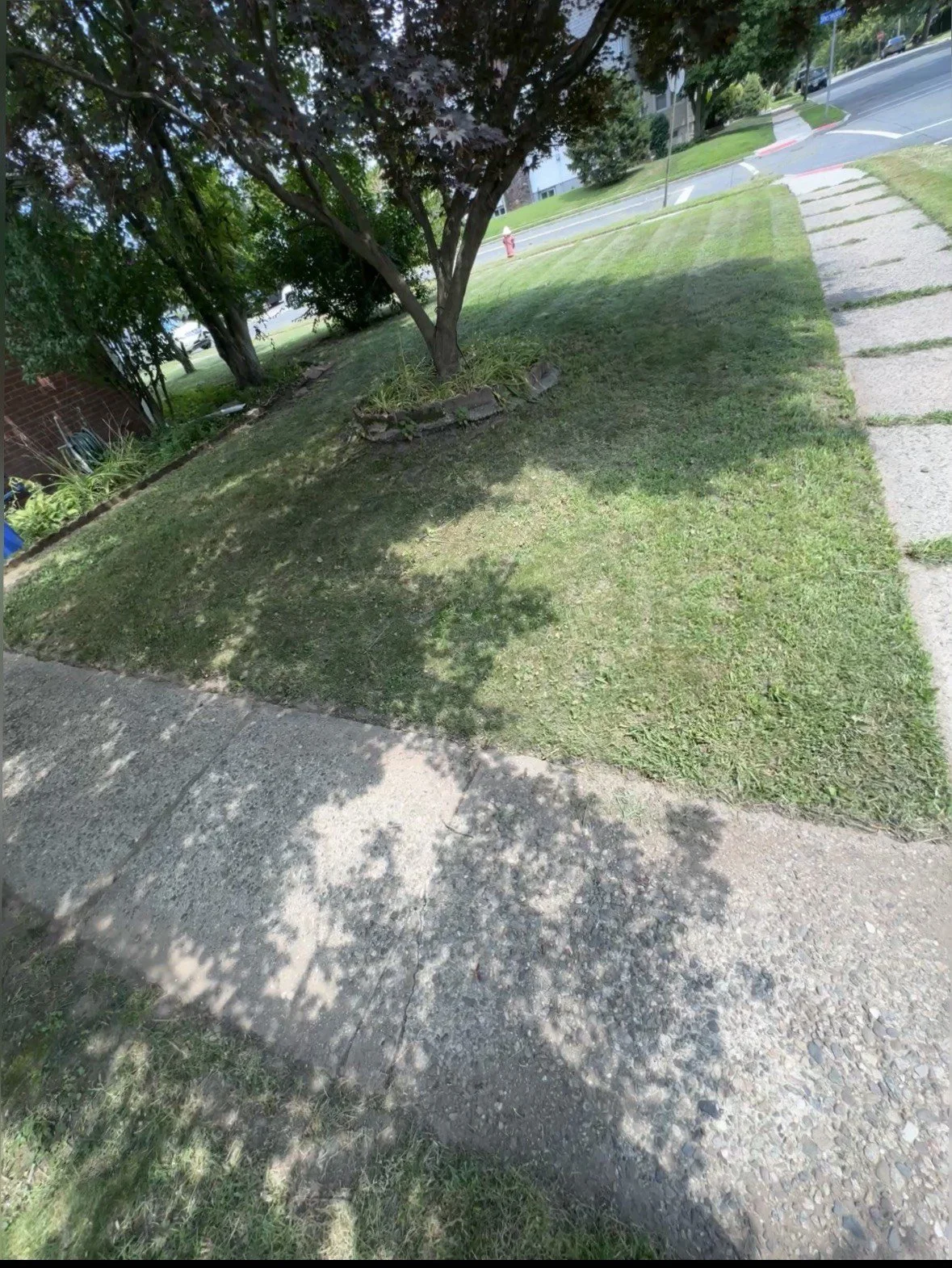 Oranssi previous project