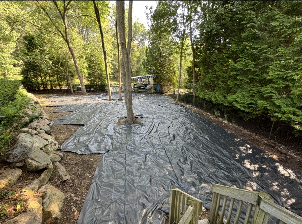 Oranssi project: slat roof