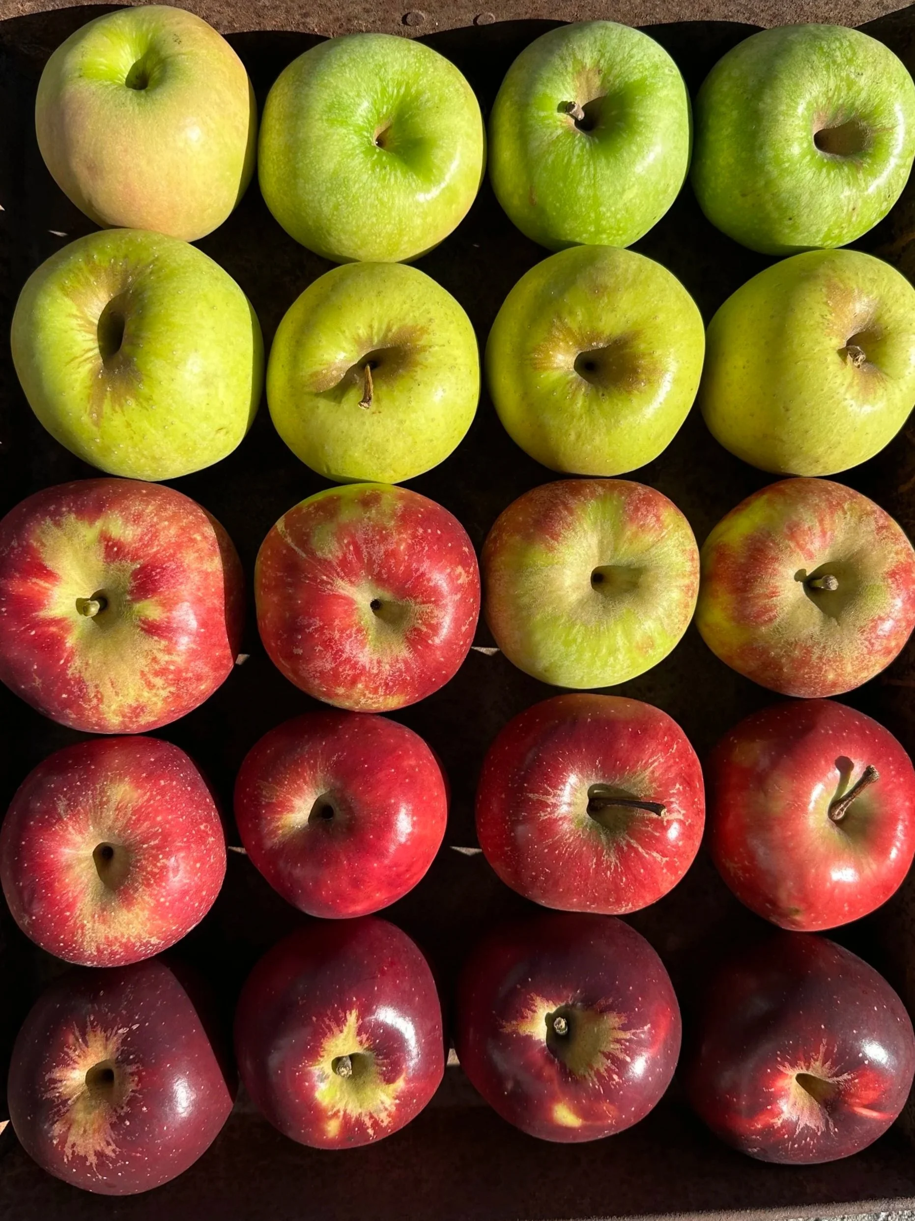 Apples from North Carolina