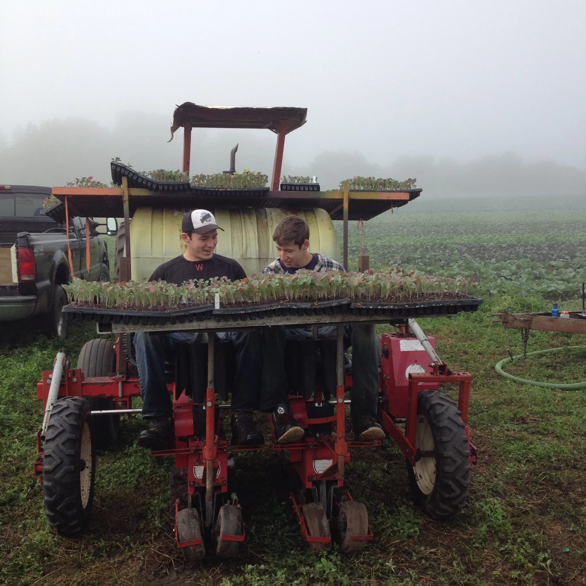 Our boys grew up working on the farm.