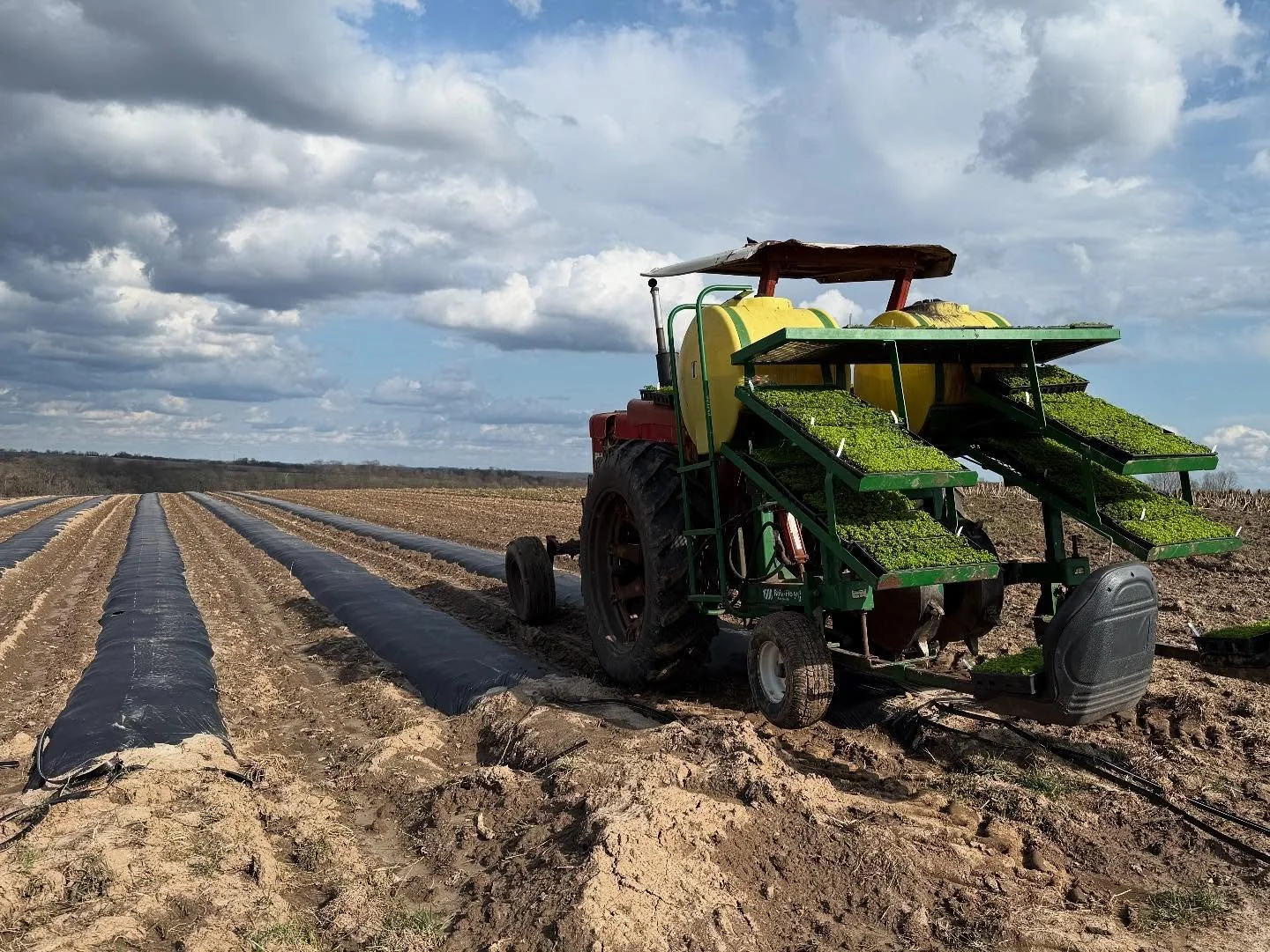 Specialized equipment like this planter helps the farm produce 95 varieties of fruits and vegetables every year. 
