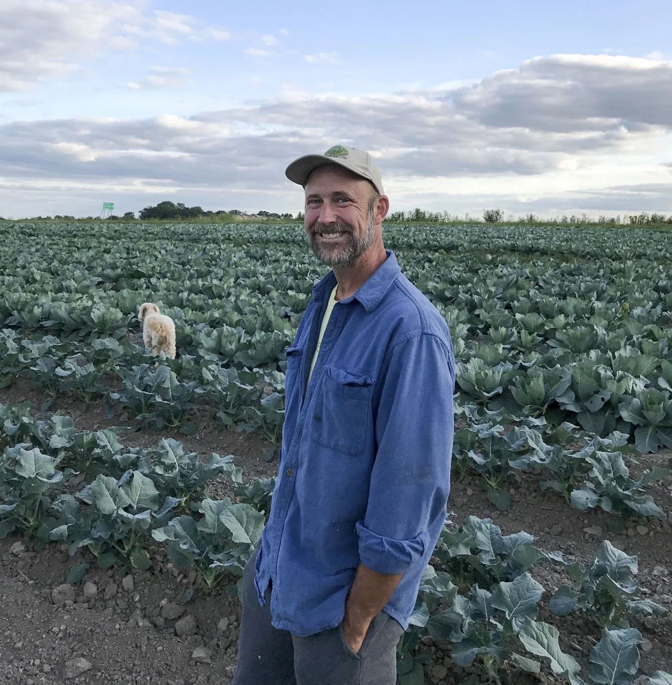 Jack in the field (2019).