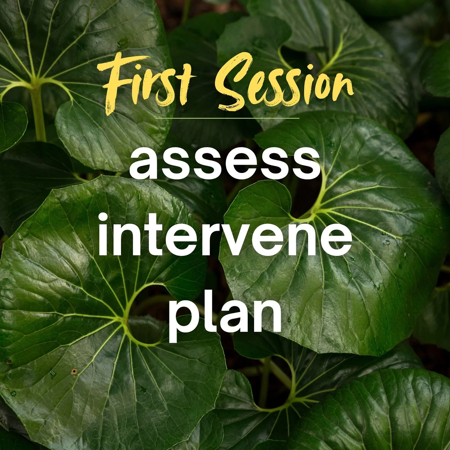 🌿 You are like a tree in a garden 🌿

Mind, body, and spirit shaped by the winds, nourished by the soil, and connected to everything around it. Whether it be performance, dealing with an injury or an age old niggle. 

🌱 First Session:
We get to kno
