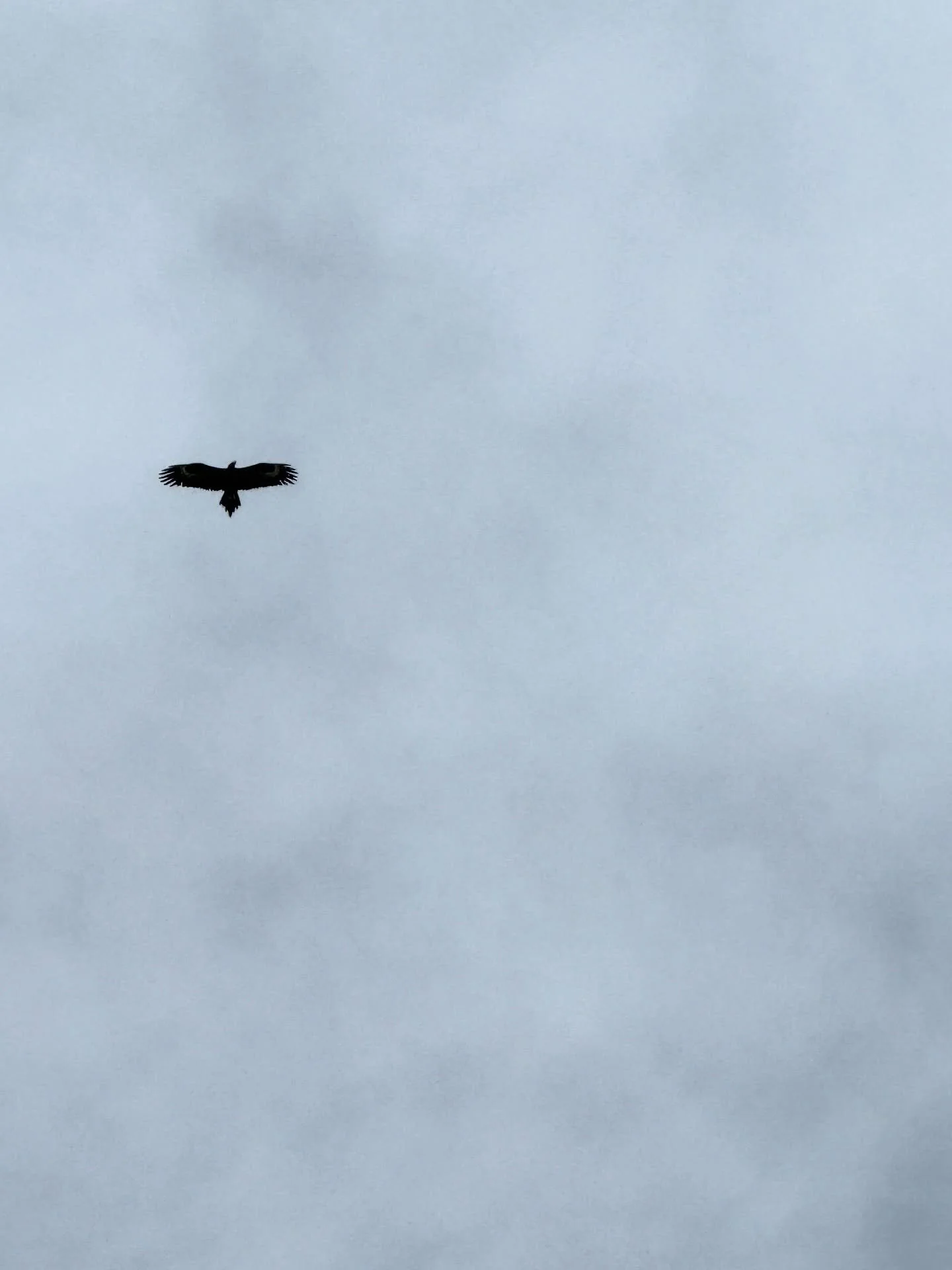 Building an accurate representation of your body and mind is a complex life long task. 

Most people get led astray by instruction with improper alignment. To instruct is to educare. But to draw out is educere. Both are very important aspects of educ