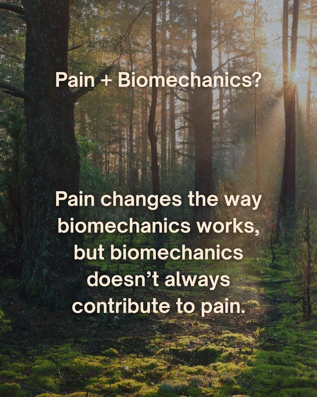 🦴 Biomechanics = load distribution
Your &ldquo;form&rdquo; is just how your body shares load between tissues.
There isn&rsquo;t one magical correct pattern &ndash; there are patterns your system currently tolerates and patterns it&rsquo;s not yet co