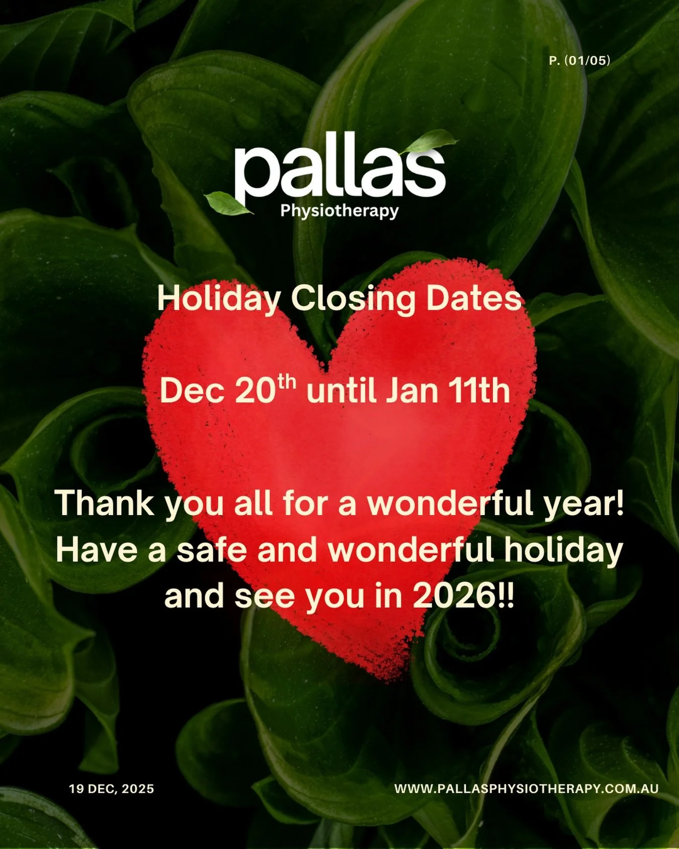 As we say goodbye to 2025, I just want to share a huge thank you to everyone who&rsquo;s supported Pallas Physiotherapy and helped it get off the ground so quickly. I&rsquo;m genuinely blown away and deeply grateful. 🥲✨

A special shoutout to the te