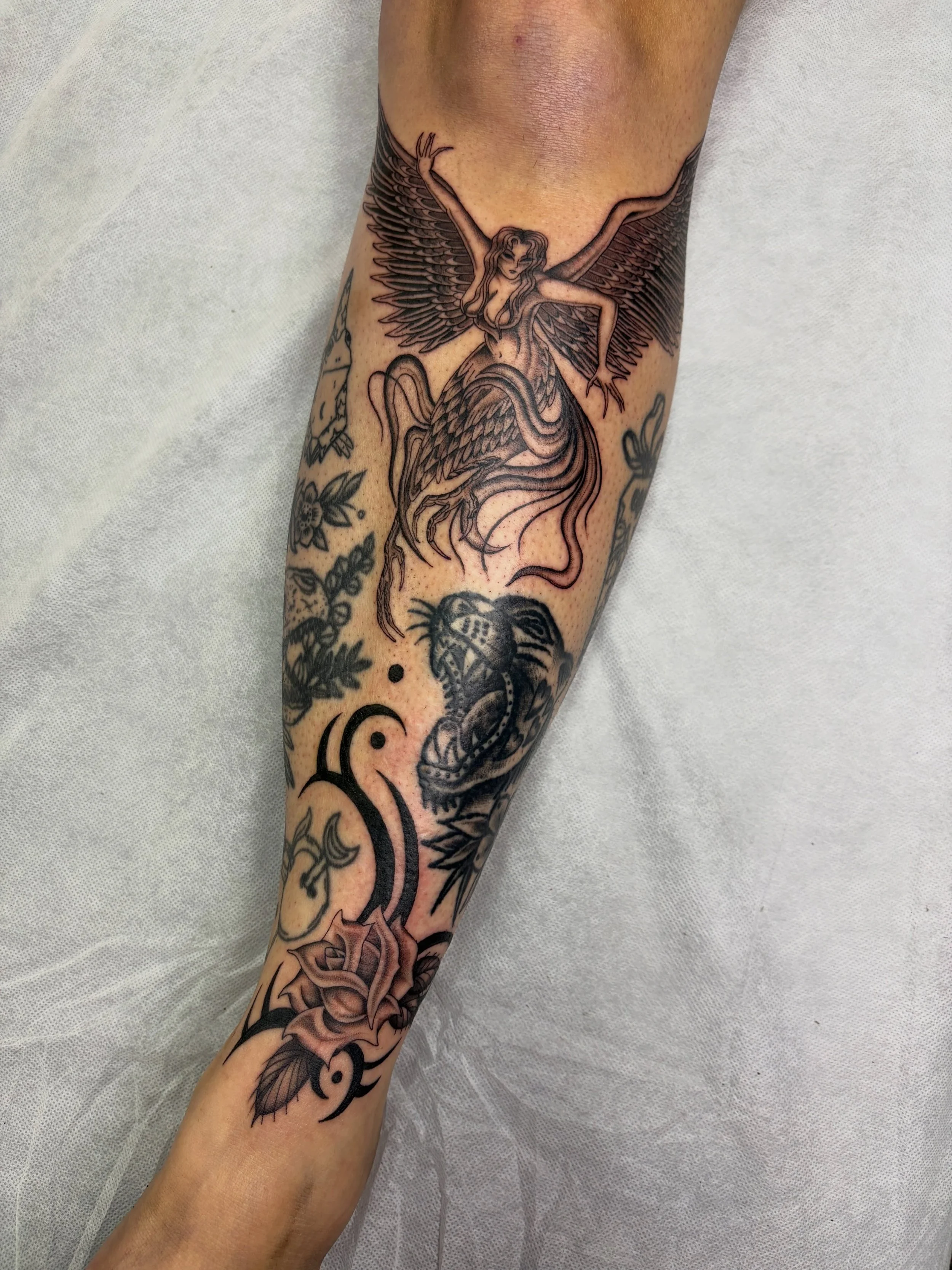 Filled a few gaps for Morgan with a harpy and couple other lil things. Thank you these were a lot of fun! 🖤 DM to book, Gold Coast and Melbourne @westside_tattoo_mermaid_beach 

Melbourne 17th-20th June @corner_store_studio