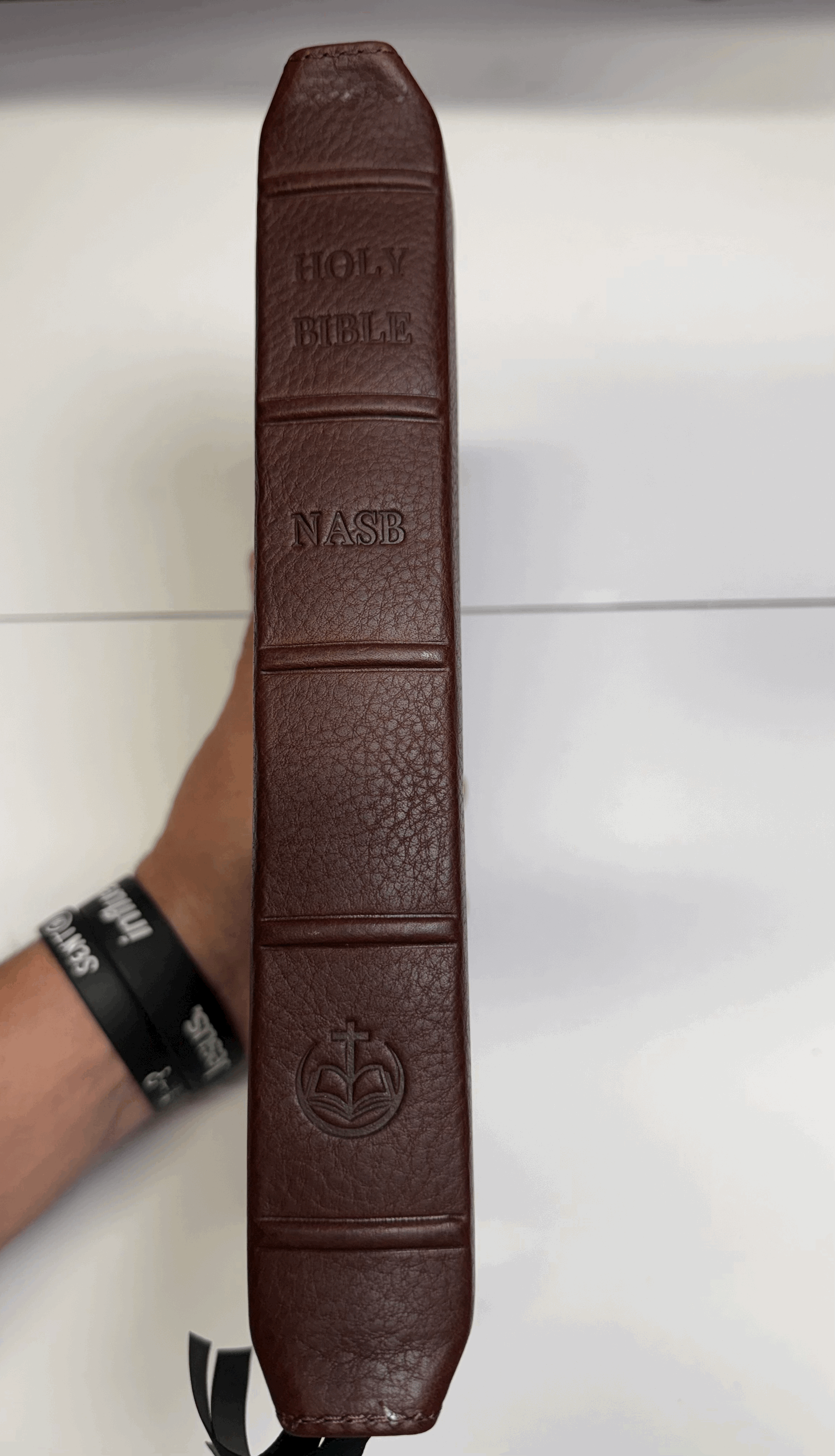 tempImageoNuV6j.gif