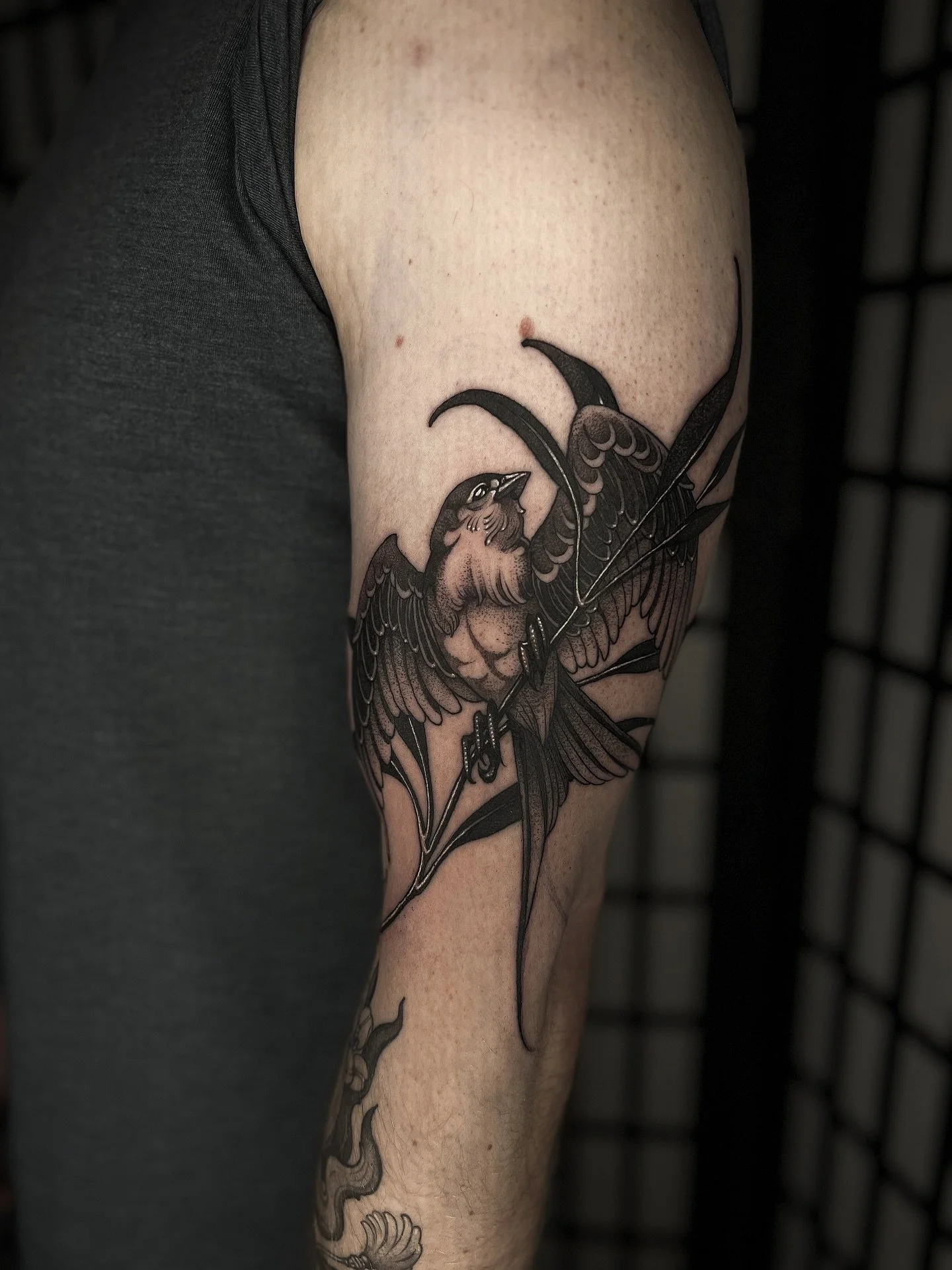 Bird buddy for Paul!! Thanks for the trust as always 🫡 
.
.
.
.
.
#birdtattoo #sparrowtattoo #blackworktattoo #dovernh #nhtattoo @madjackaltattoo