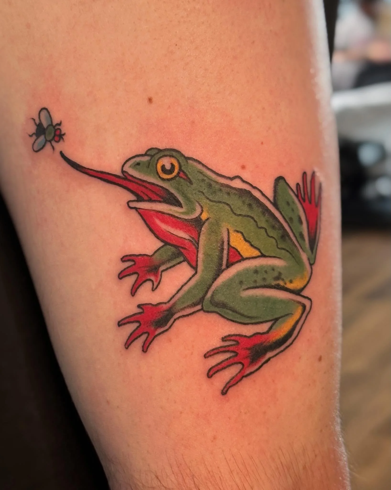 Little frog friend for Marc. 🐸 Thanks again!! Books are open for May and June, send me a message or fill out a booking request form on my website www.craigryans.com
.
#tradtattoos #nhtattoo #traditionaltattooink #tattootrad #frogtattoo
