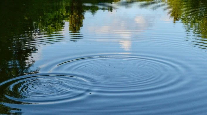 Water and Mental Health: The Ripple Effect of Hydration and Aquatic Environments