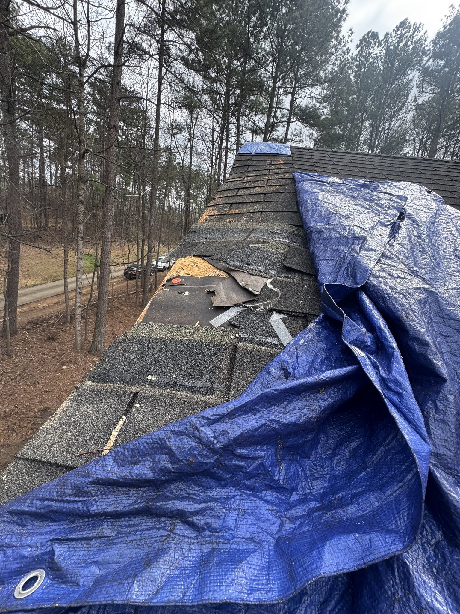View of a house roof with shingles and a blue tarp covered over part of the roof, surrounded by tall trees in a wooded area.