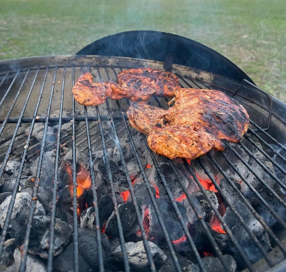 Grilled meat on a barbecue grill over hot coals with a grassy field in the background.