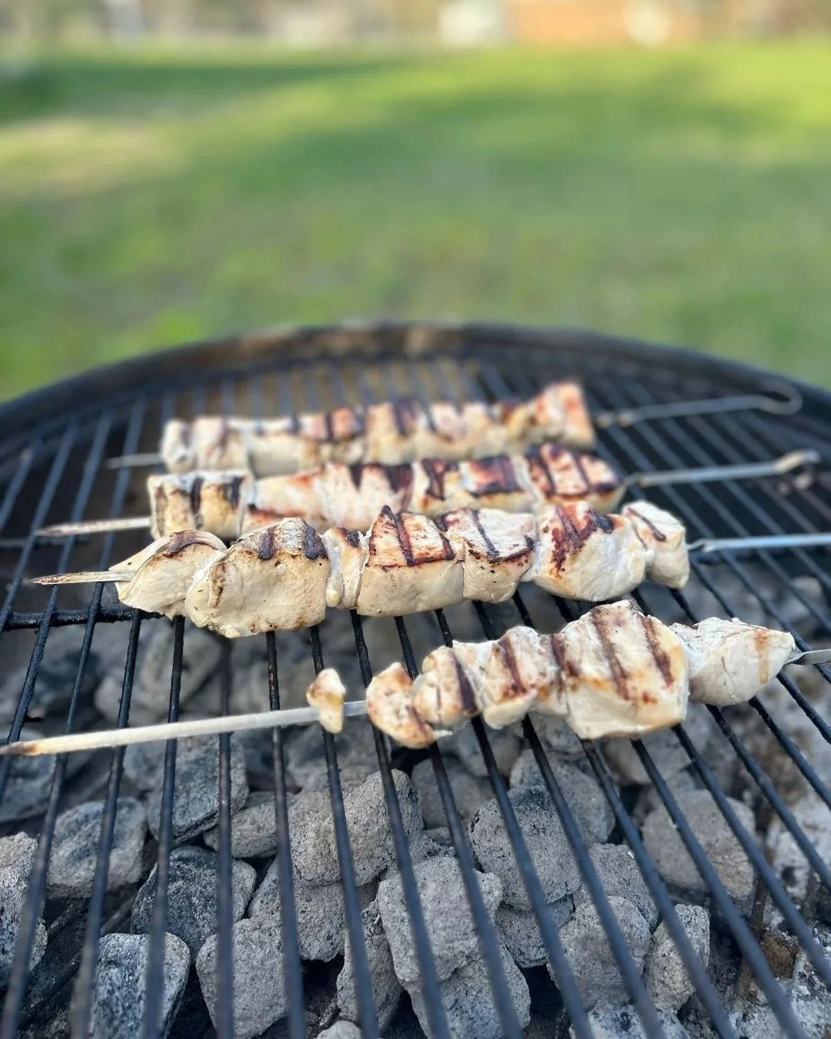 Skewers of chicken grilling on a barbecue with charcoal, outdoors on a sunny day.