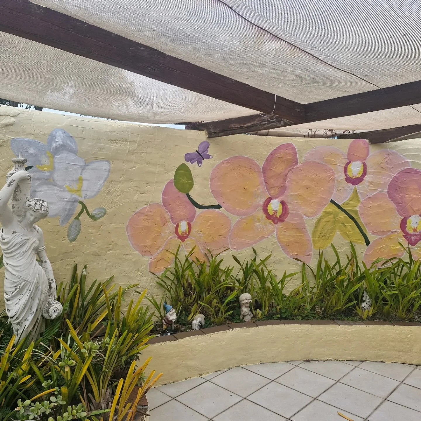 My current project - Capturing the beauty of orchids