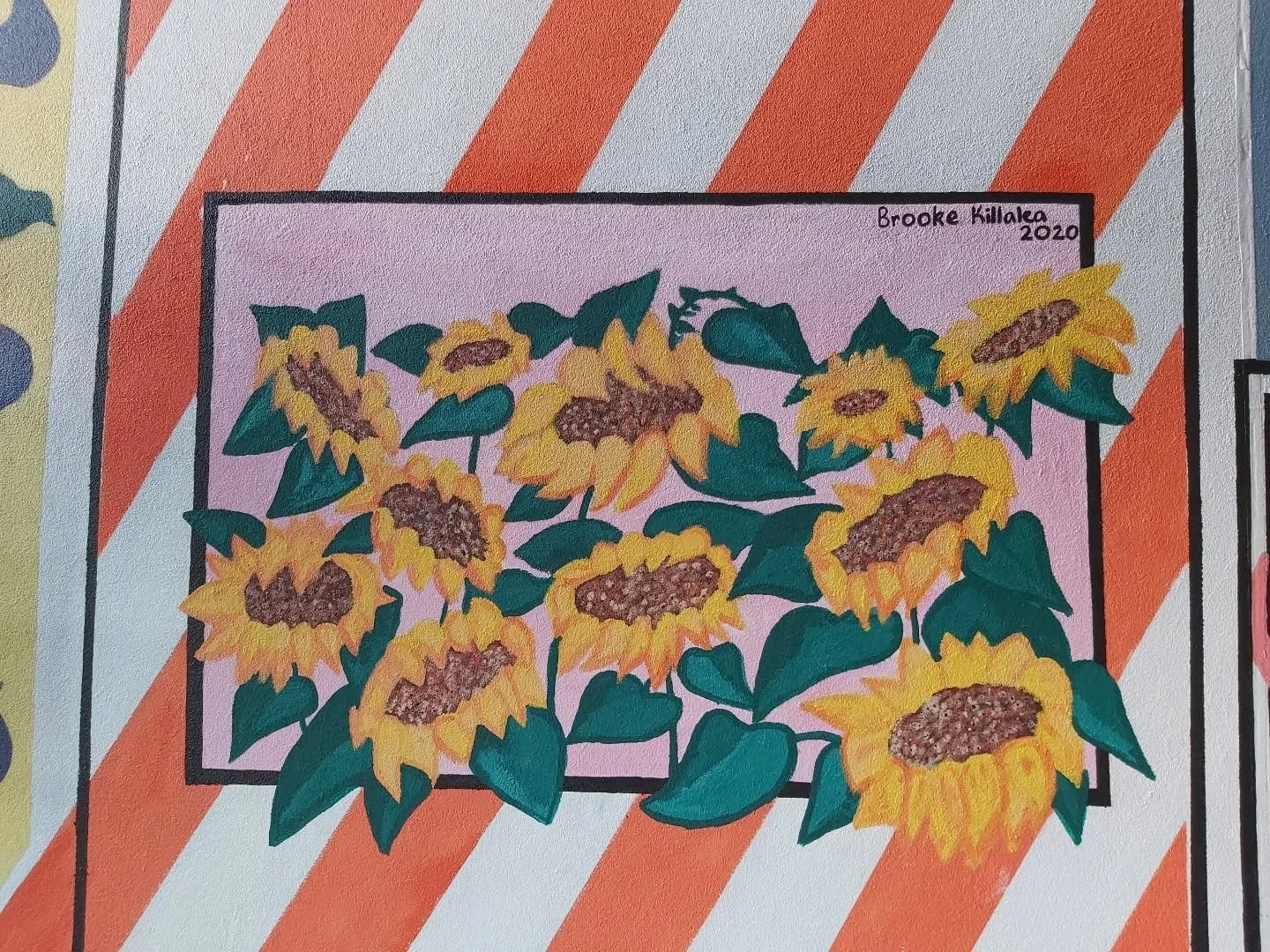 Throwback to a mural I completed back in 2020 in Yeppoon Queensland. It is located on hill Street in between the doctor surgery and the coffee shop @chapteryeppoon. This mural was an abstract recreation of all the sunflower farms located in central Q