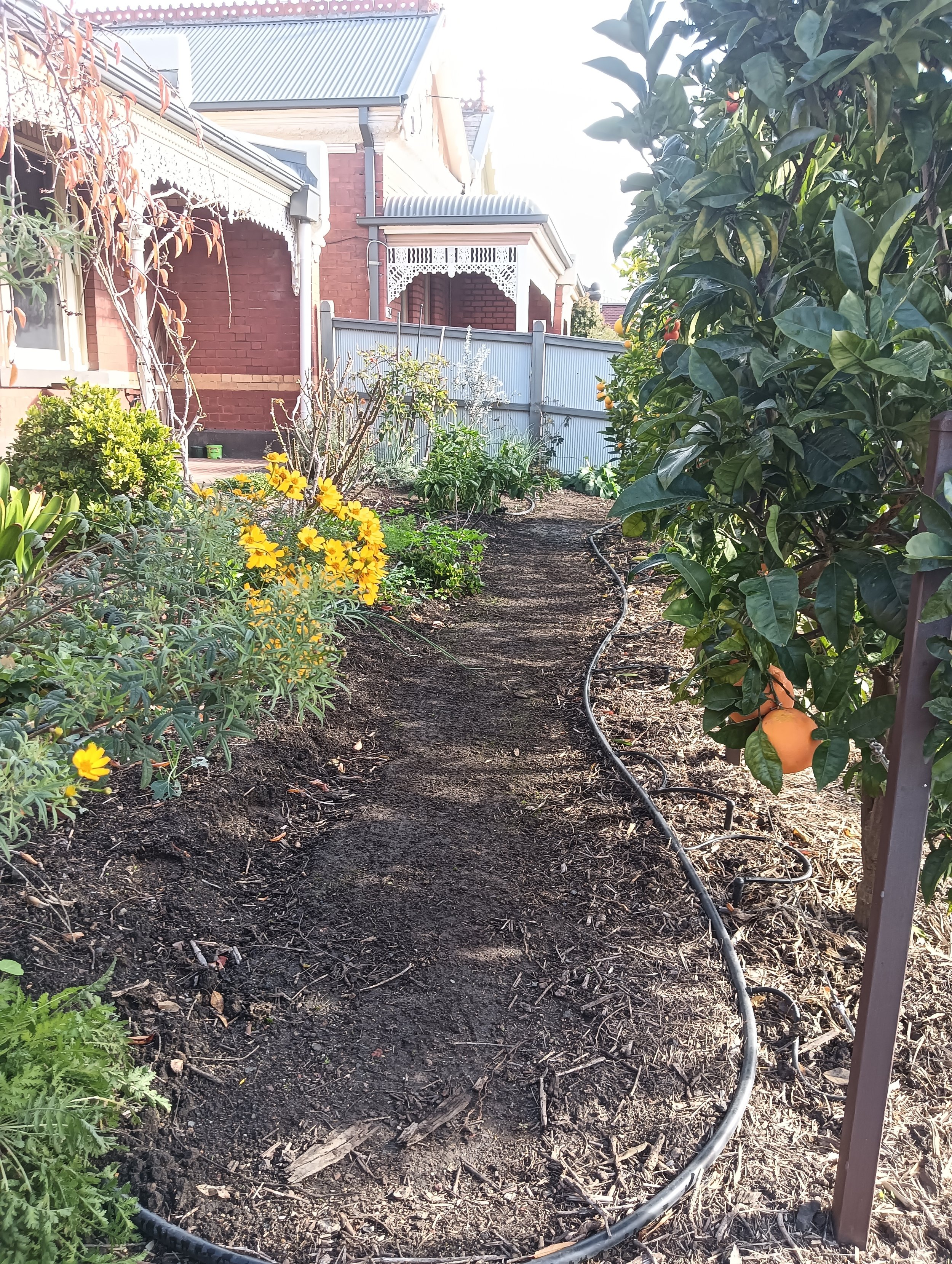 irrigation maintenance and service